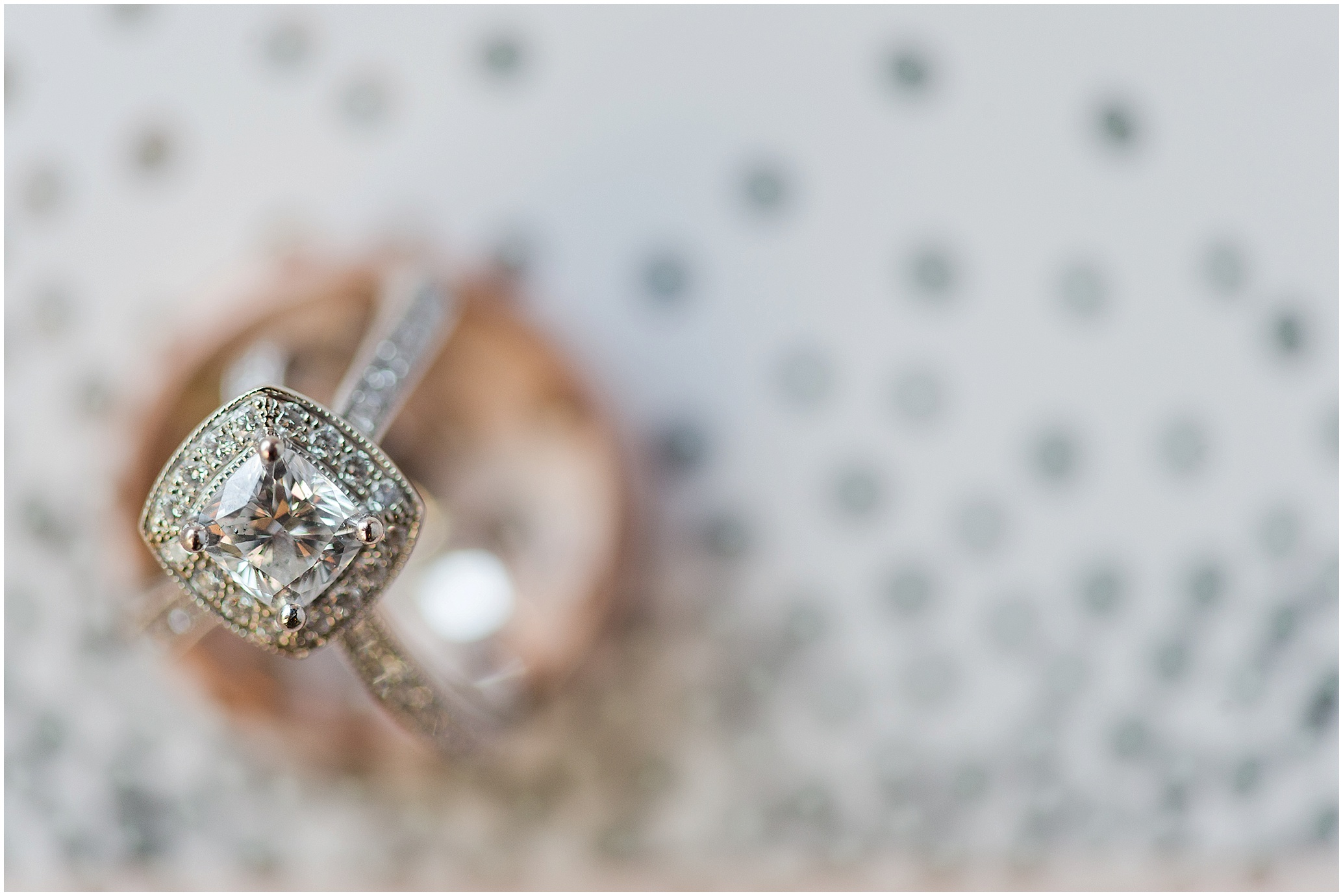 Hannah Leigh Photography Tabrizis Baltimore Wedding_2190.jpg