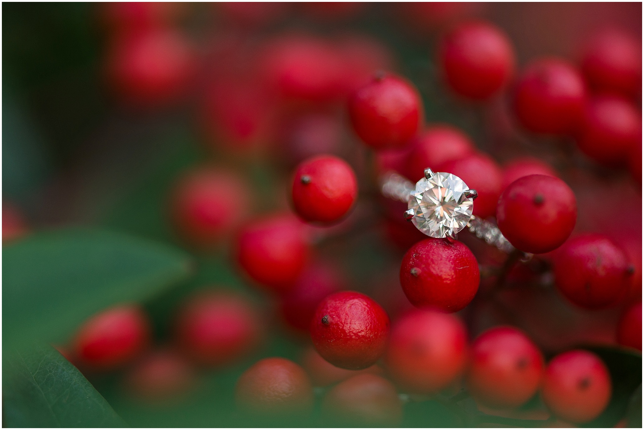 Hannah Leigh Photography Federal Hill Engagement Session Baltimore MD_2531.jpg