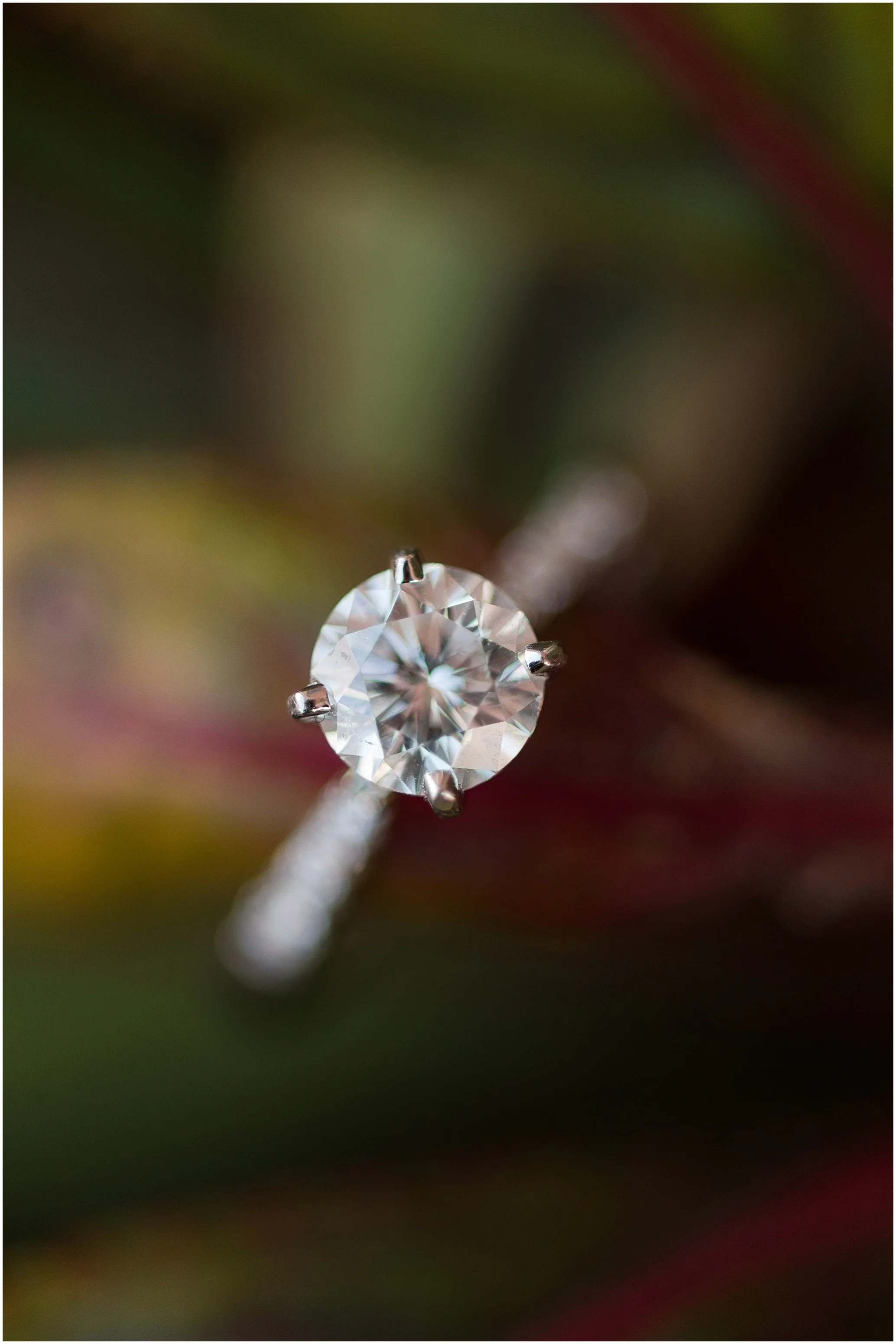Hannah Leigh Photography Federal Hill Engagement Session Baltimore MD_2530.jpg