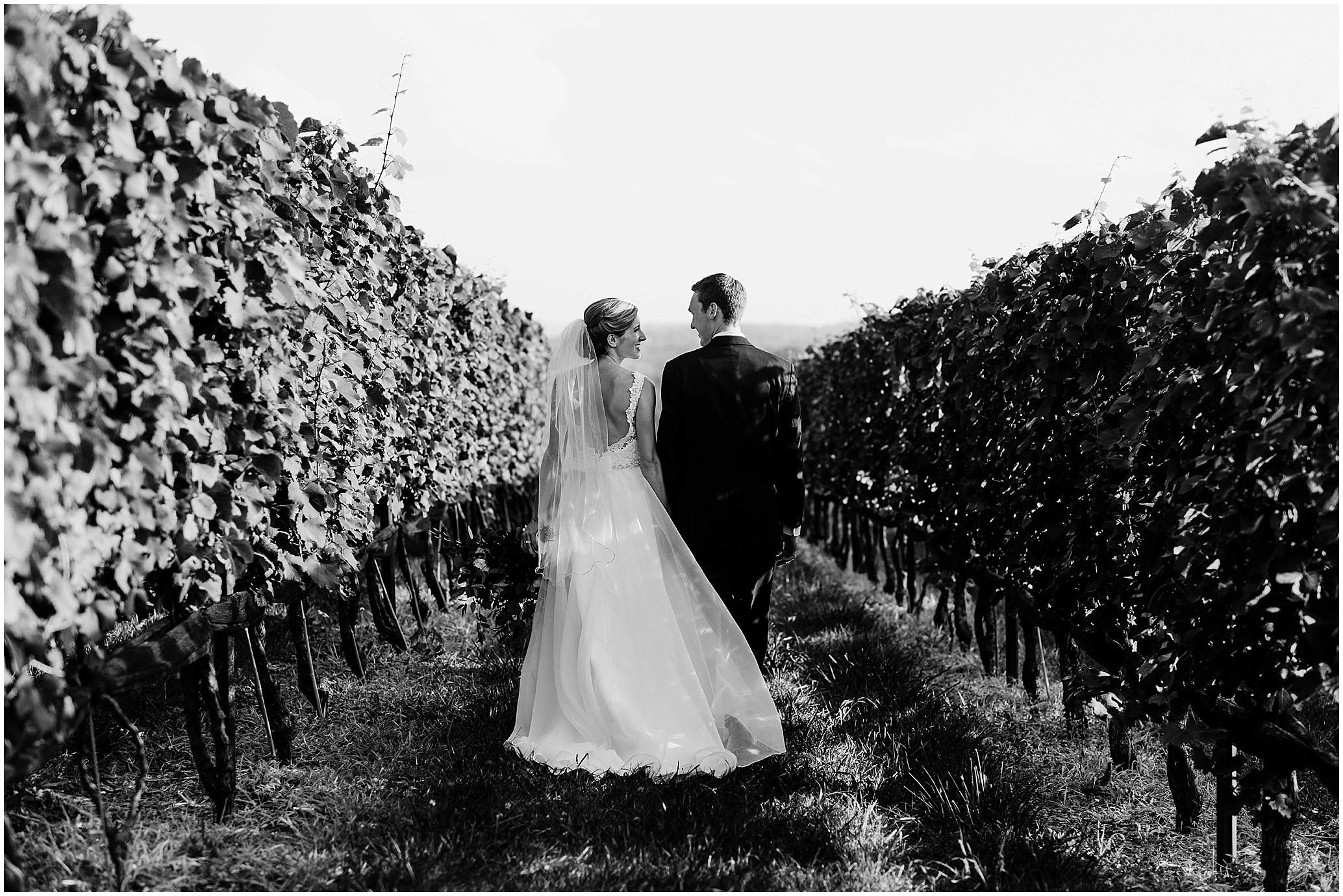 Hannah Leigh Photography Stone Tower Winery Wedding Leesburg VA_4776.jpg