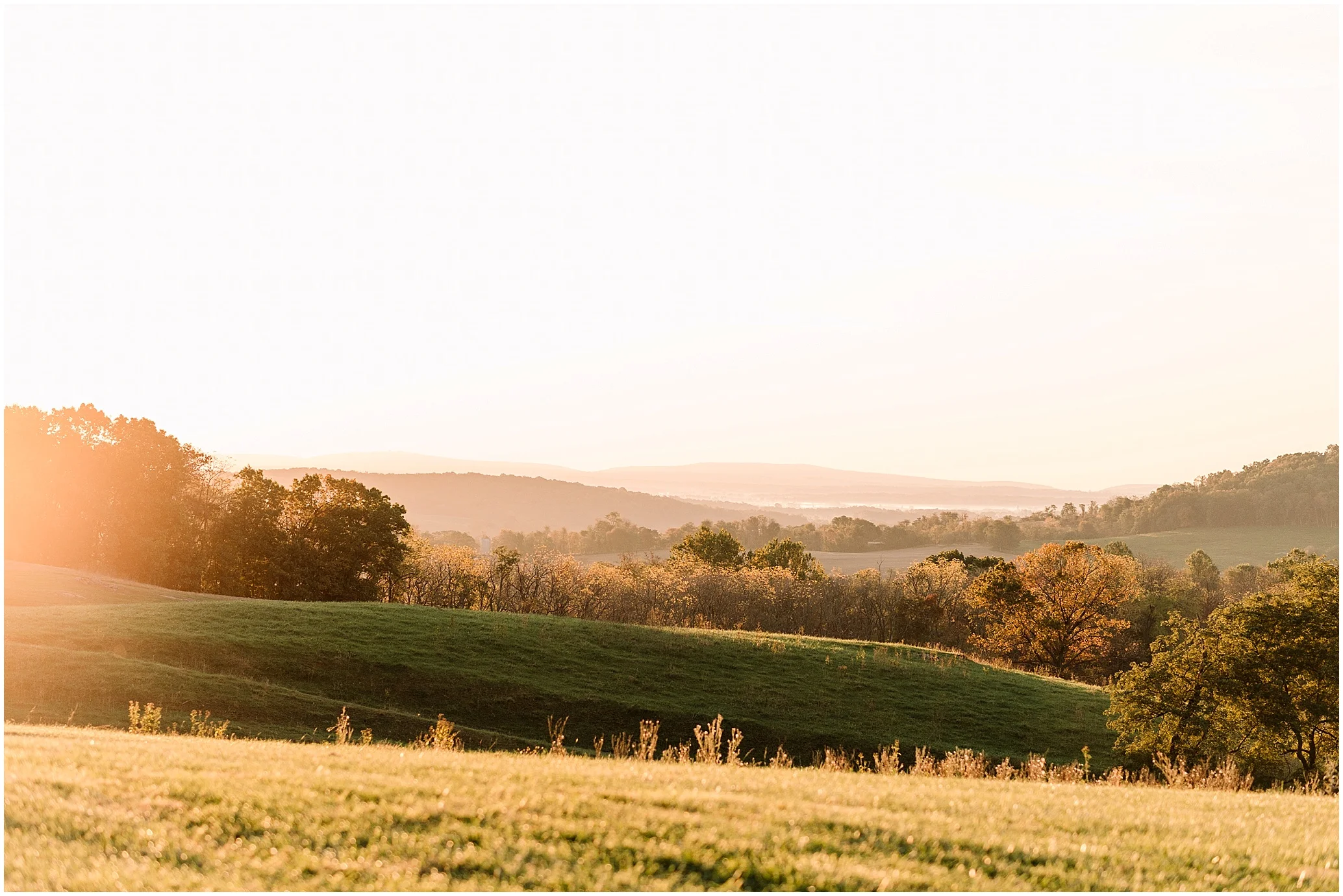 Hannah Leigh Photography Sky Meadows State Park Engagement_6462.jpg
