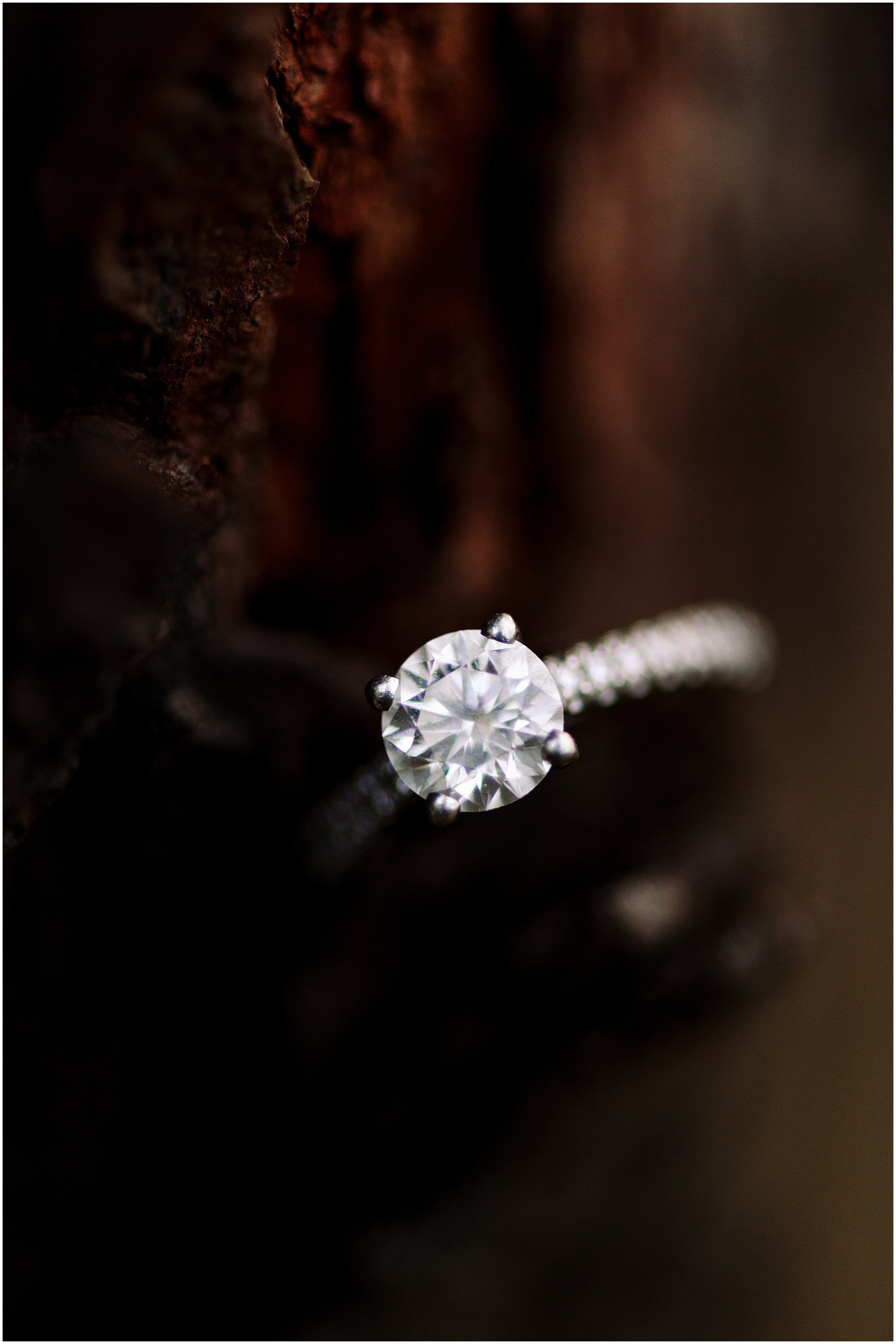 Hannah Leigh Photography Theodore Roosevelt Island Engagement Session_6698.jpg