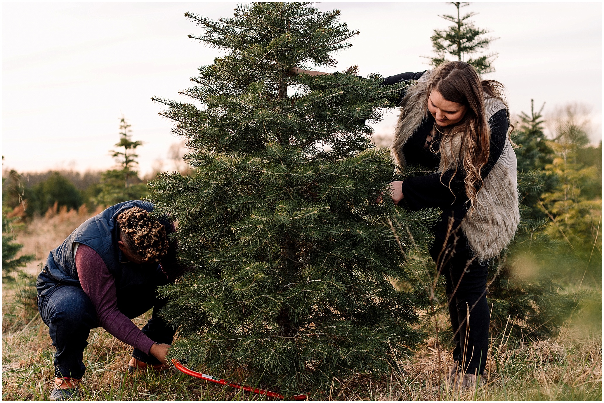Hannah Leigh Photography Christmas Tree Farm Engagement Session_6757.jpg