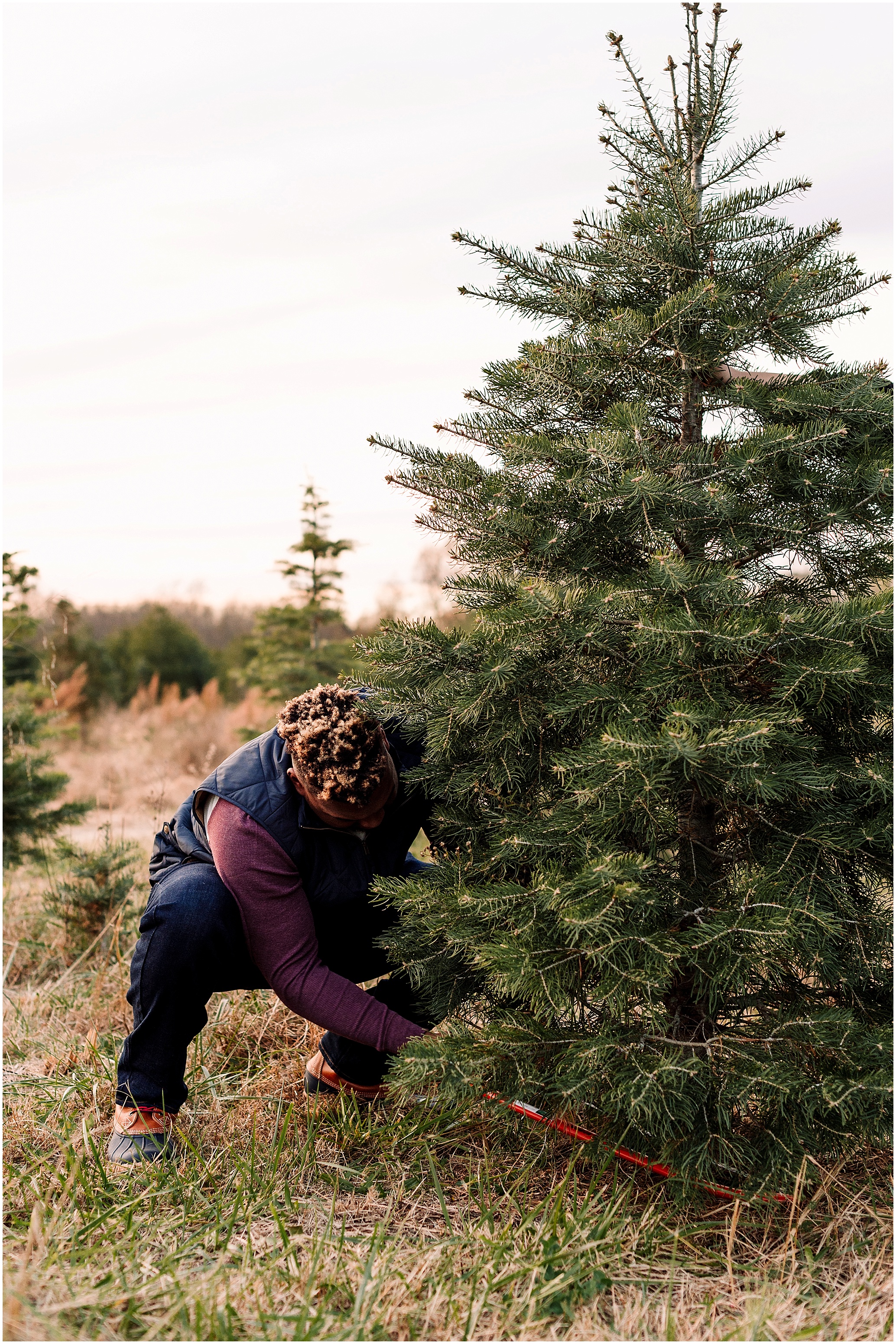 Hannah Leigh Photography Christmas Tree Farm Engagement Session_6756.jpg
