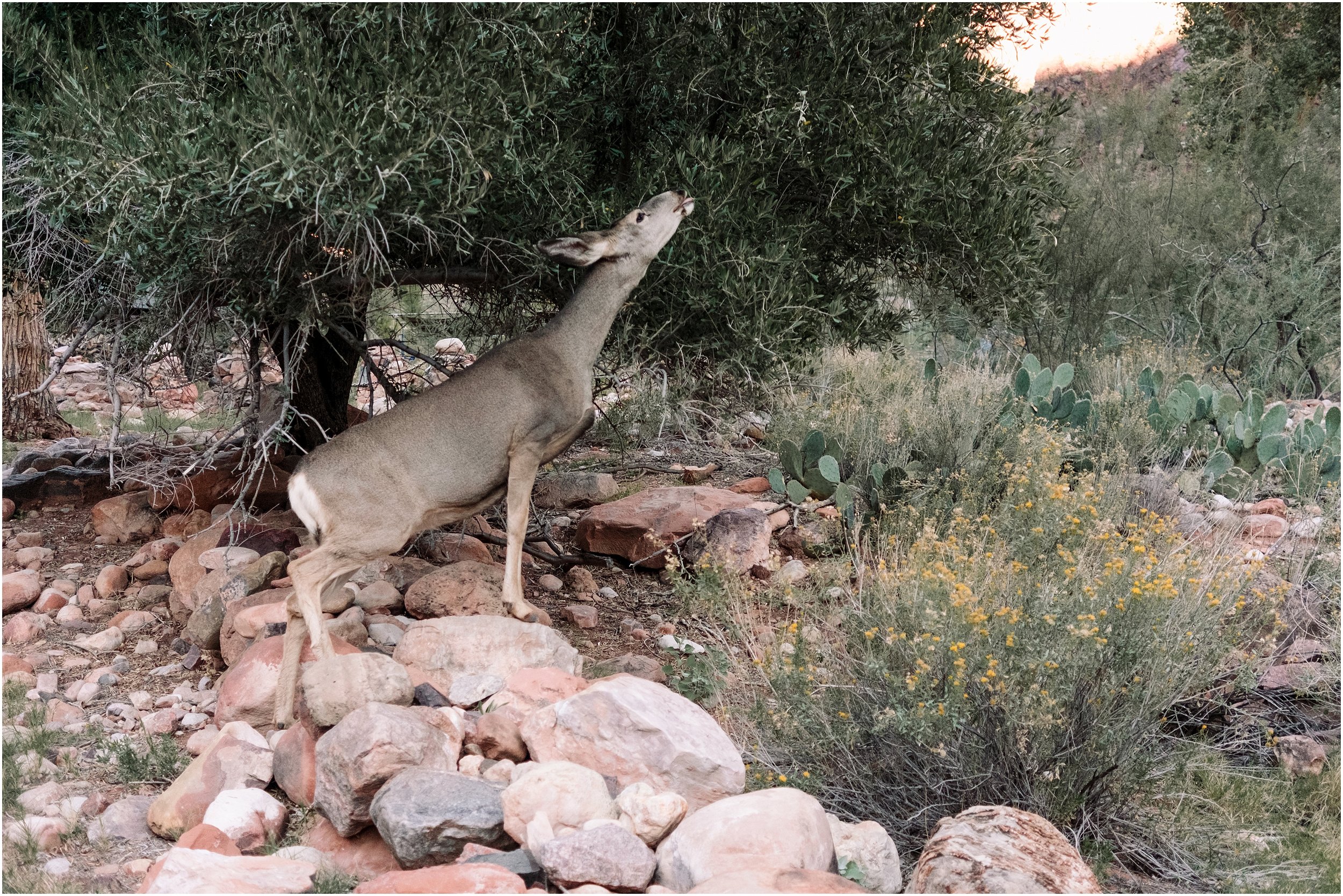 hannah leigh photography Grand Canyon Backpacking Trip_2481.jpg