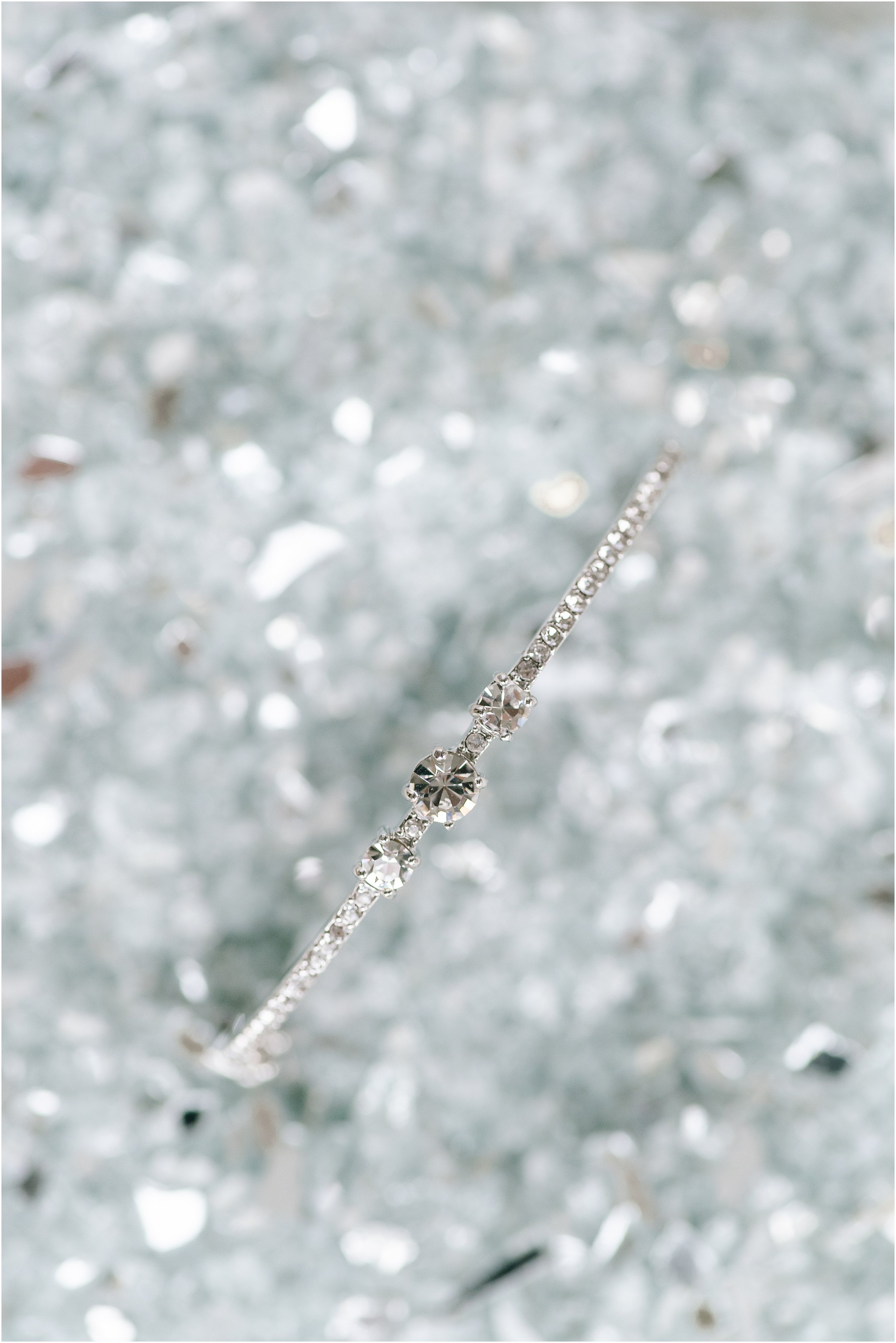hannah leigh photography Pond View Farm Wedding White Hall MD_3602.jpg