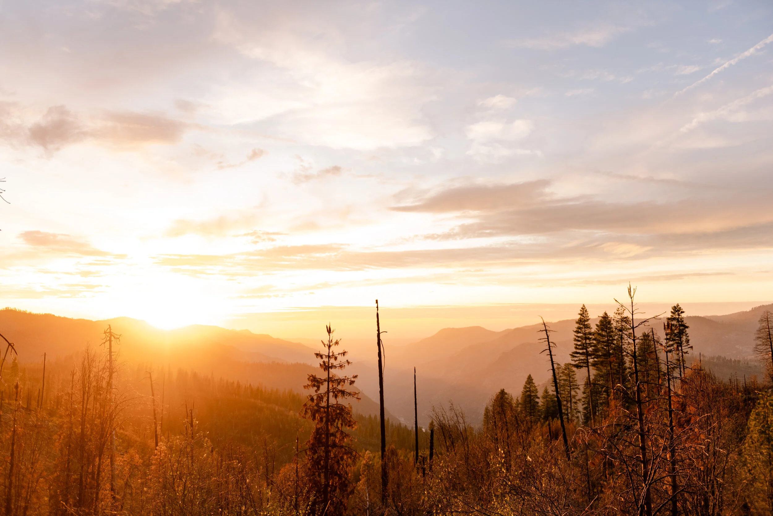 YOSEMITE-54.jpg