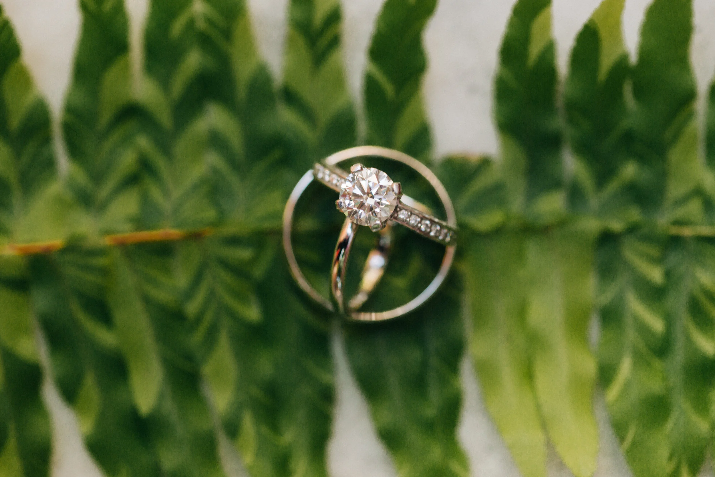 NATIRA-WEDDING-9.jpg