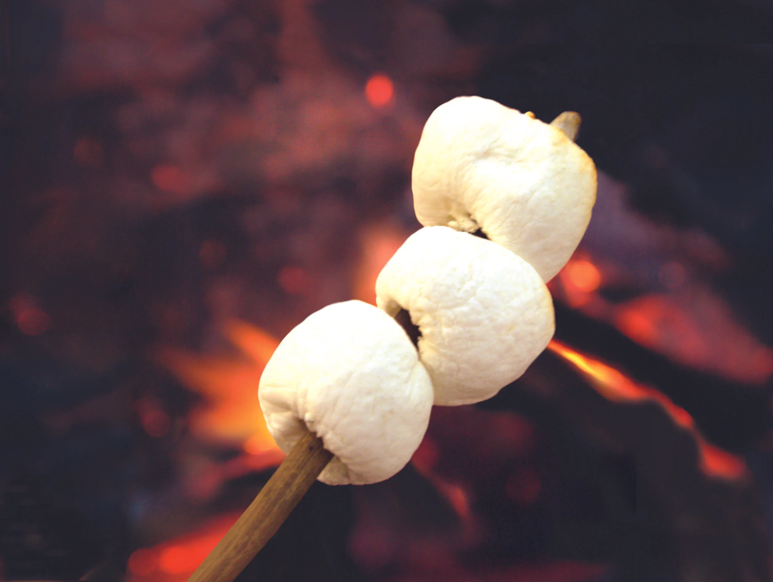  Client Bath and Body Works  Collection: Slatkins Co. 