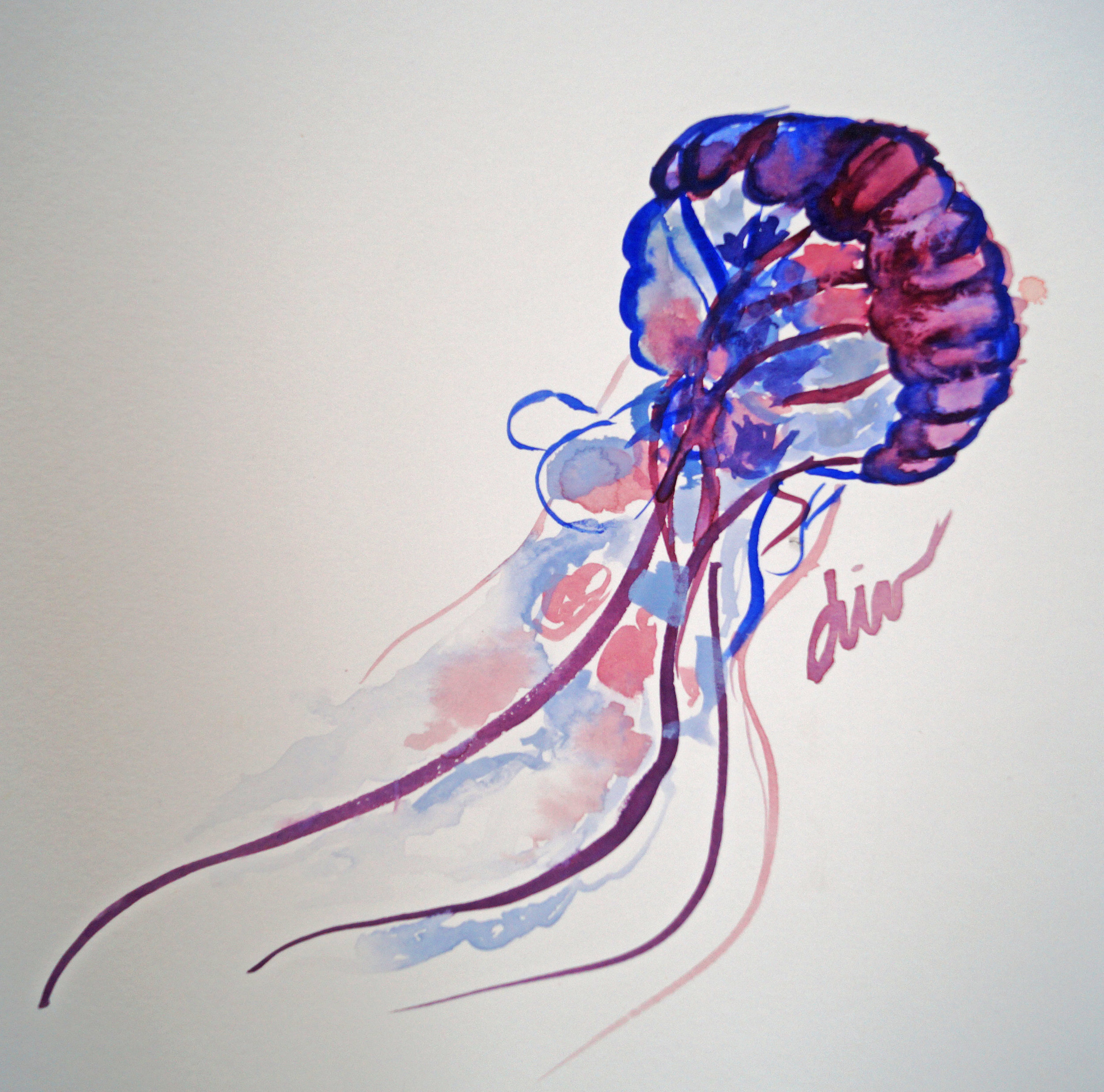 jellyfishfileds.jpg