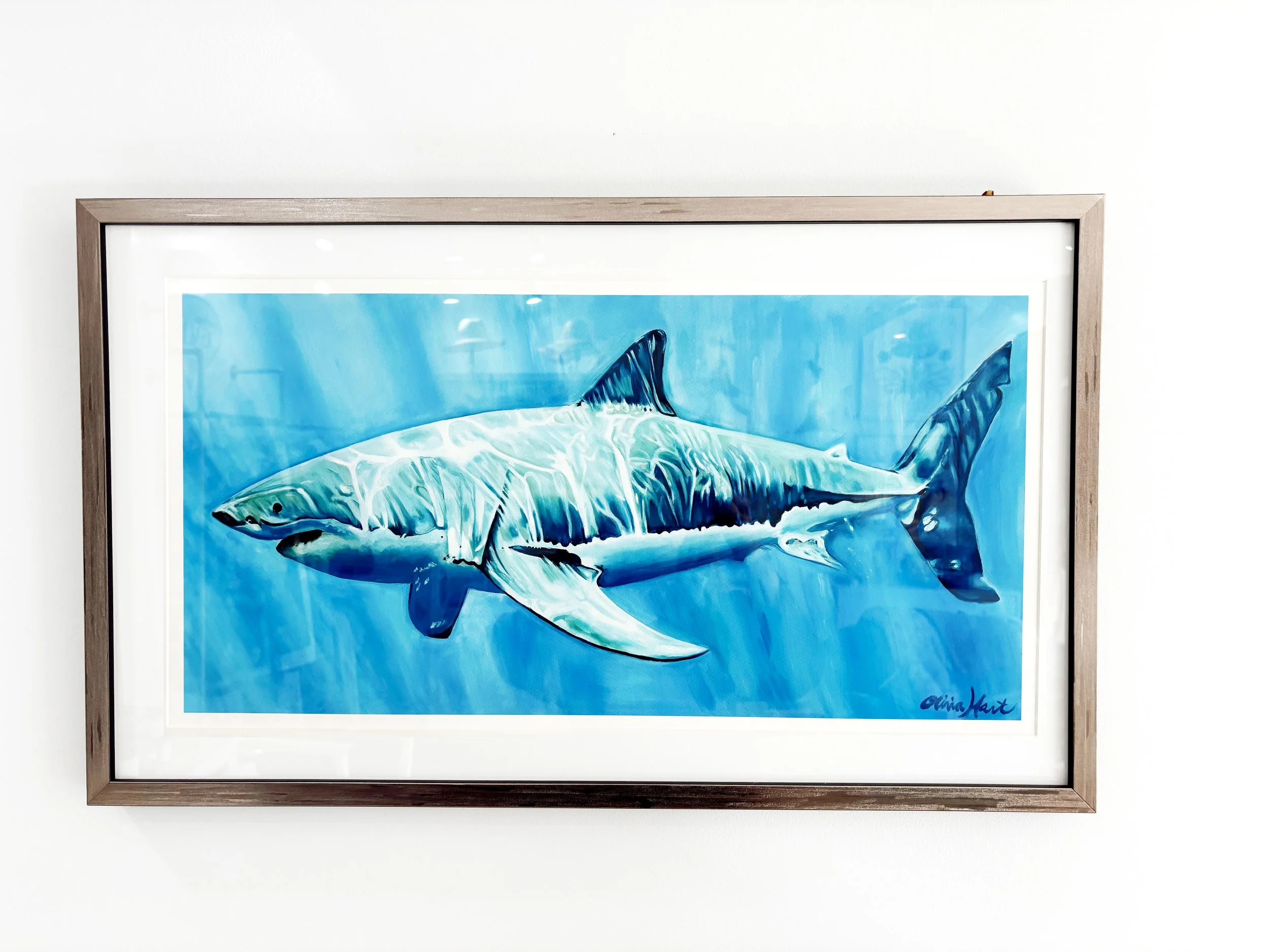 colorsharkandantiqueframe.jpg