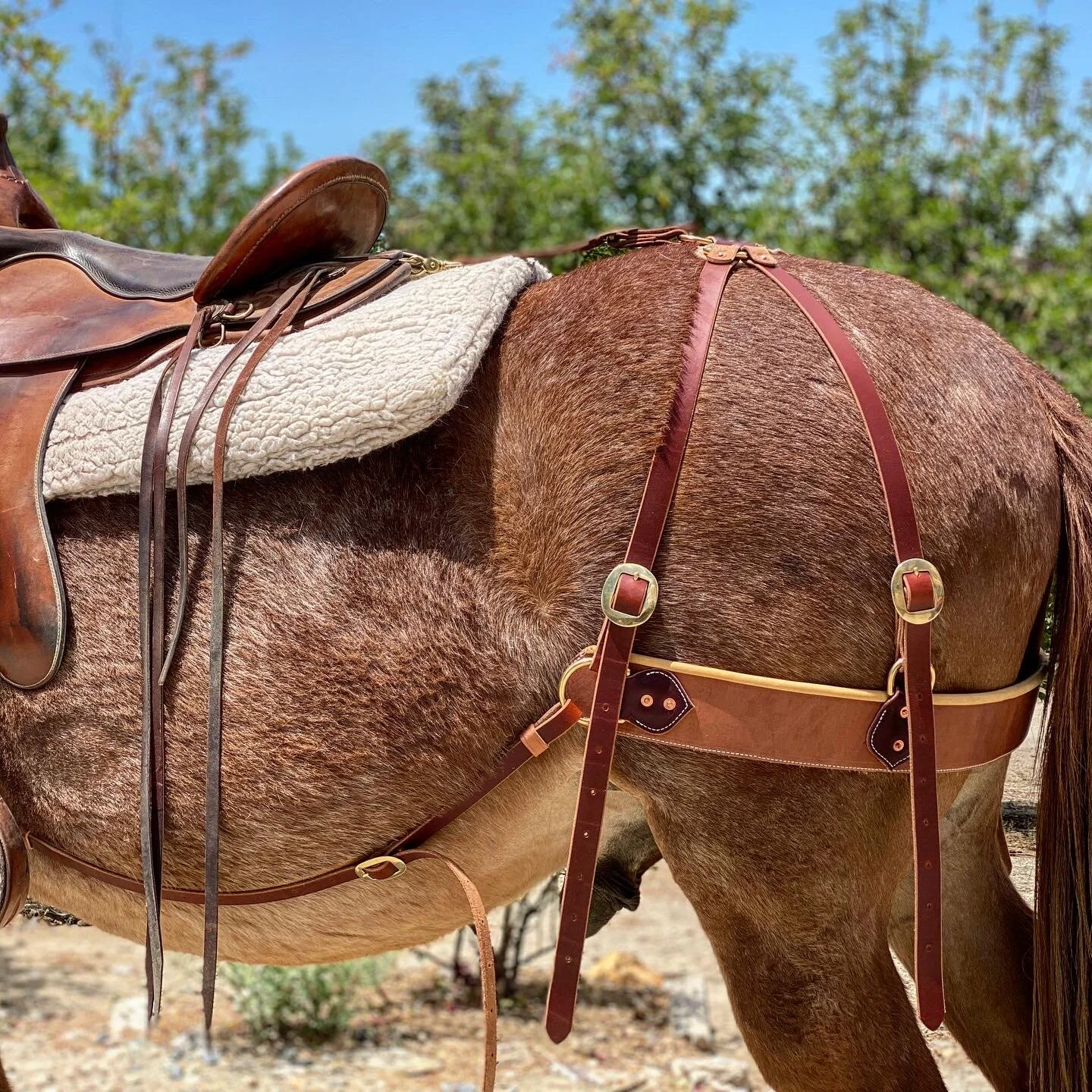 A5200B85-B824-4F34-99D0-FC40A97A87AB