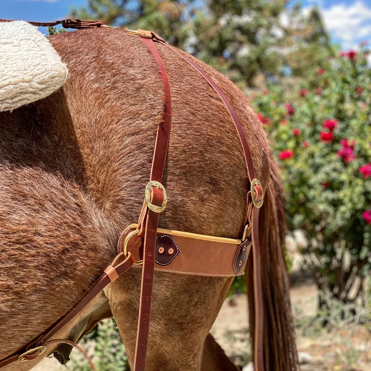 9F1CA0A9-9A85-4308-9258-102C0765B81C