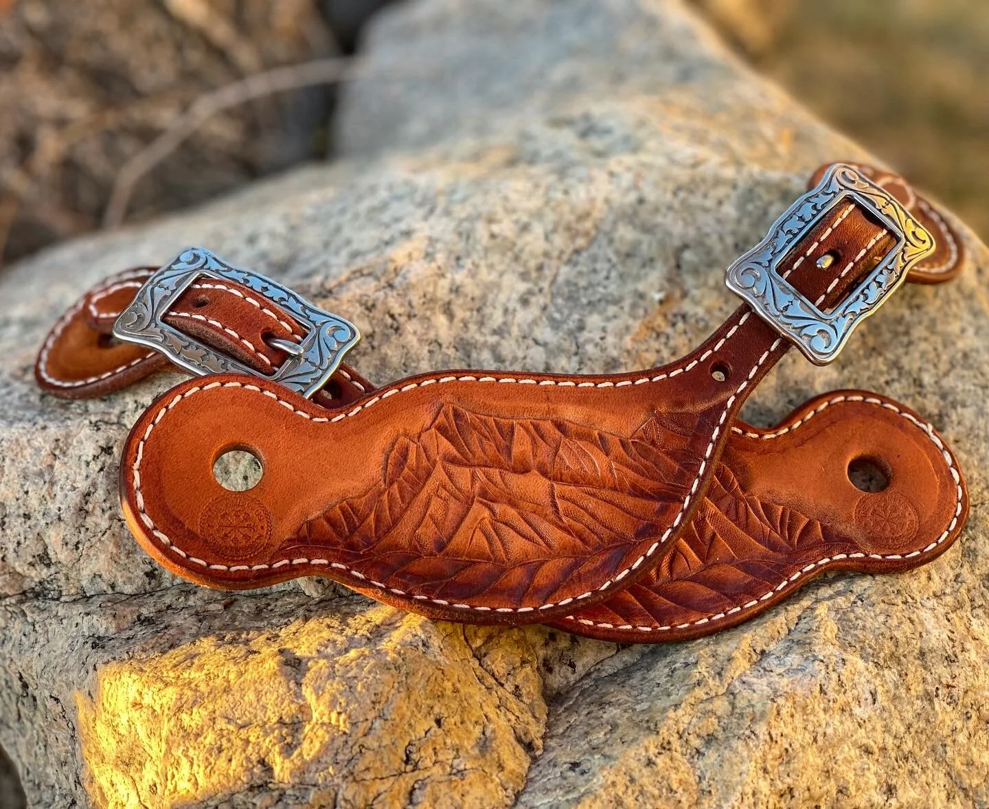 DCF9D37B-0DA8-4ACC-9B6E-64E2257A58EB