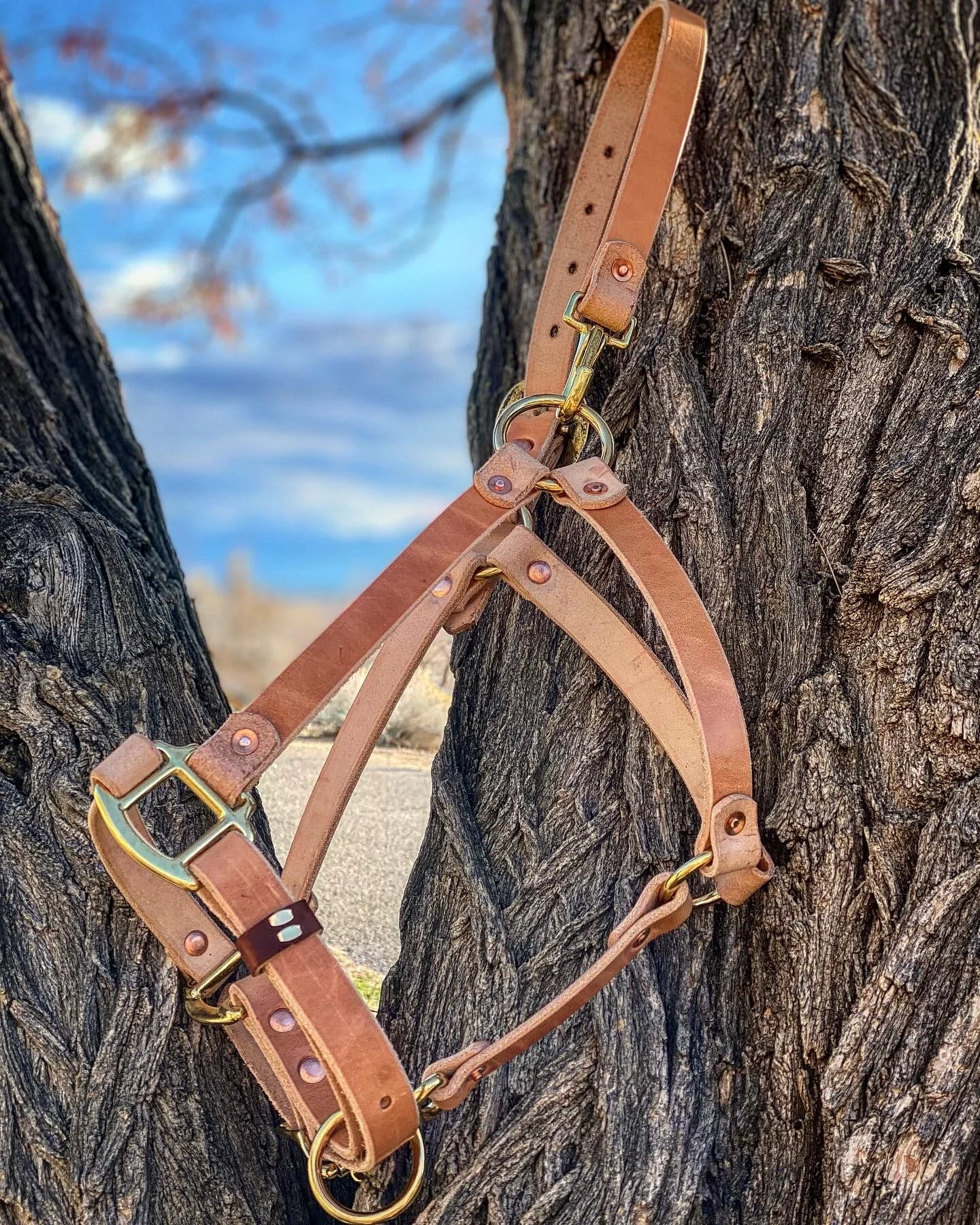 04F940DD-B4C3-4C33-A5F1-A79A44B97A87