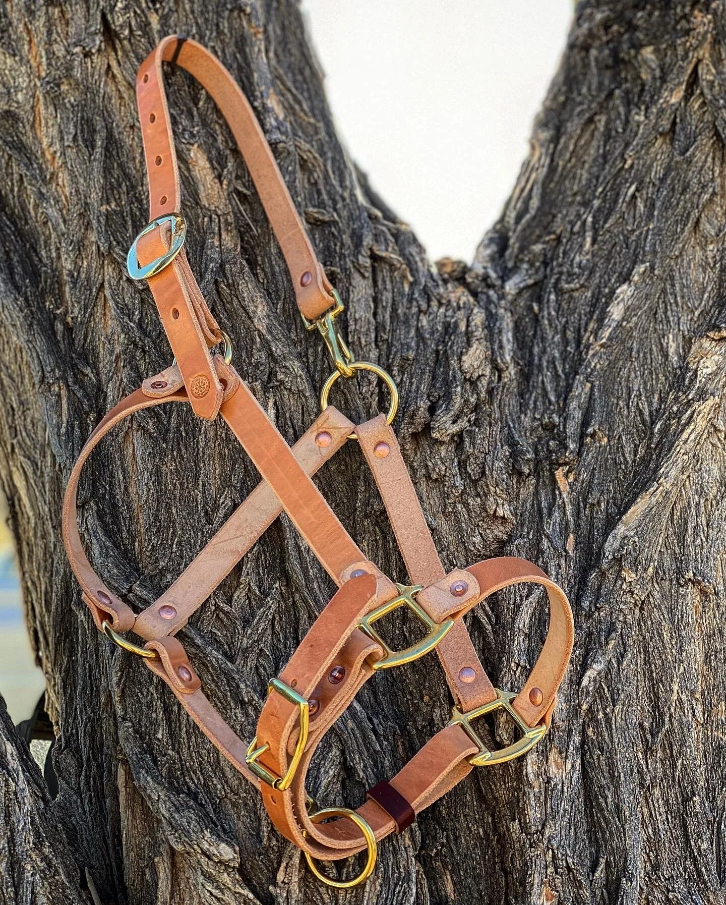 848D4BCE-4B87-4F36-A270-23A8C94B52AE