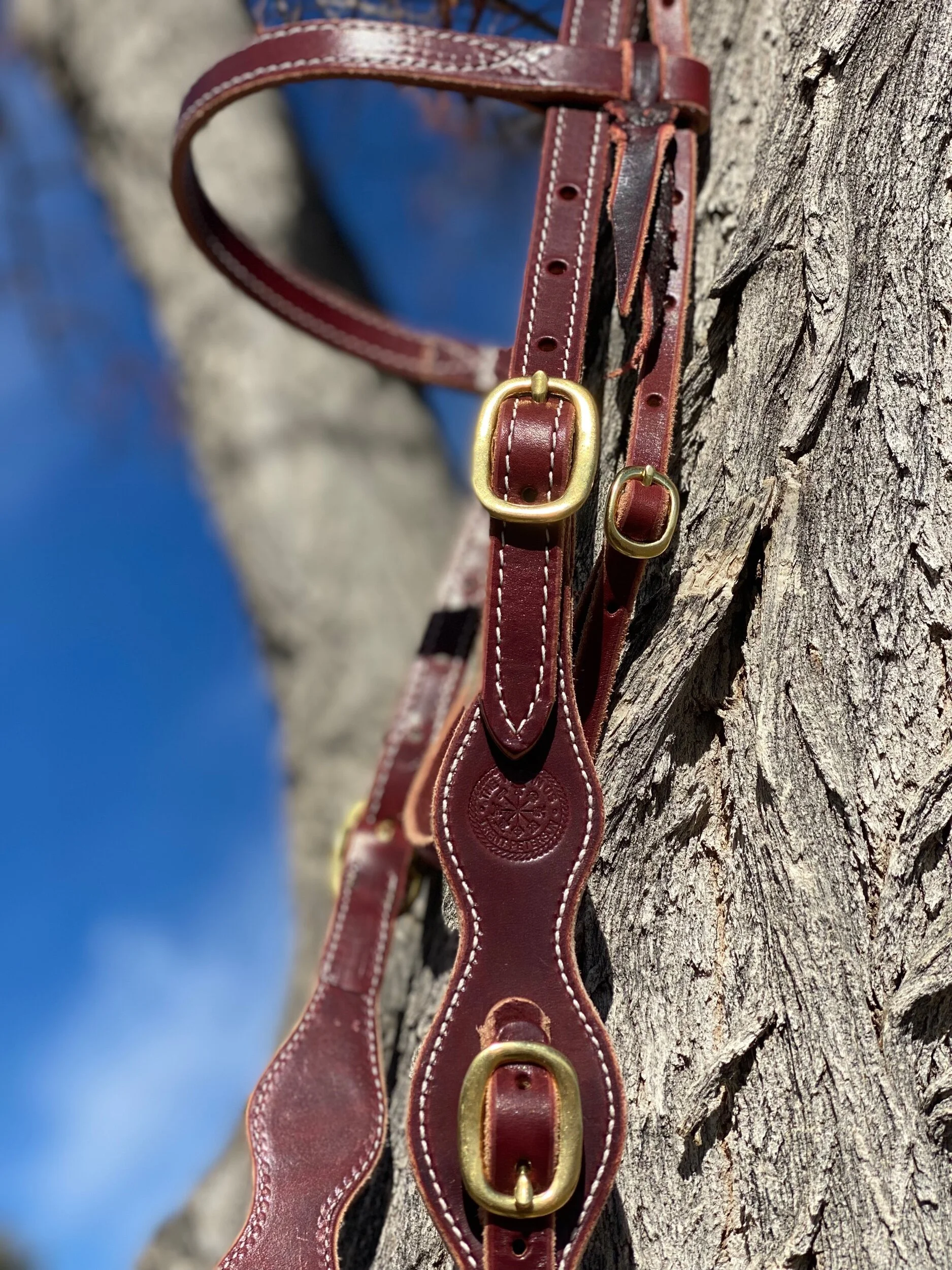 1D330DD6-D0CB-4682-AD57-A1E8B7F74BAA