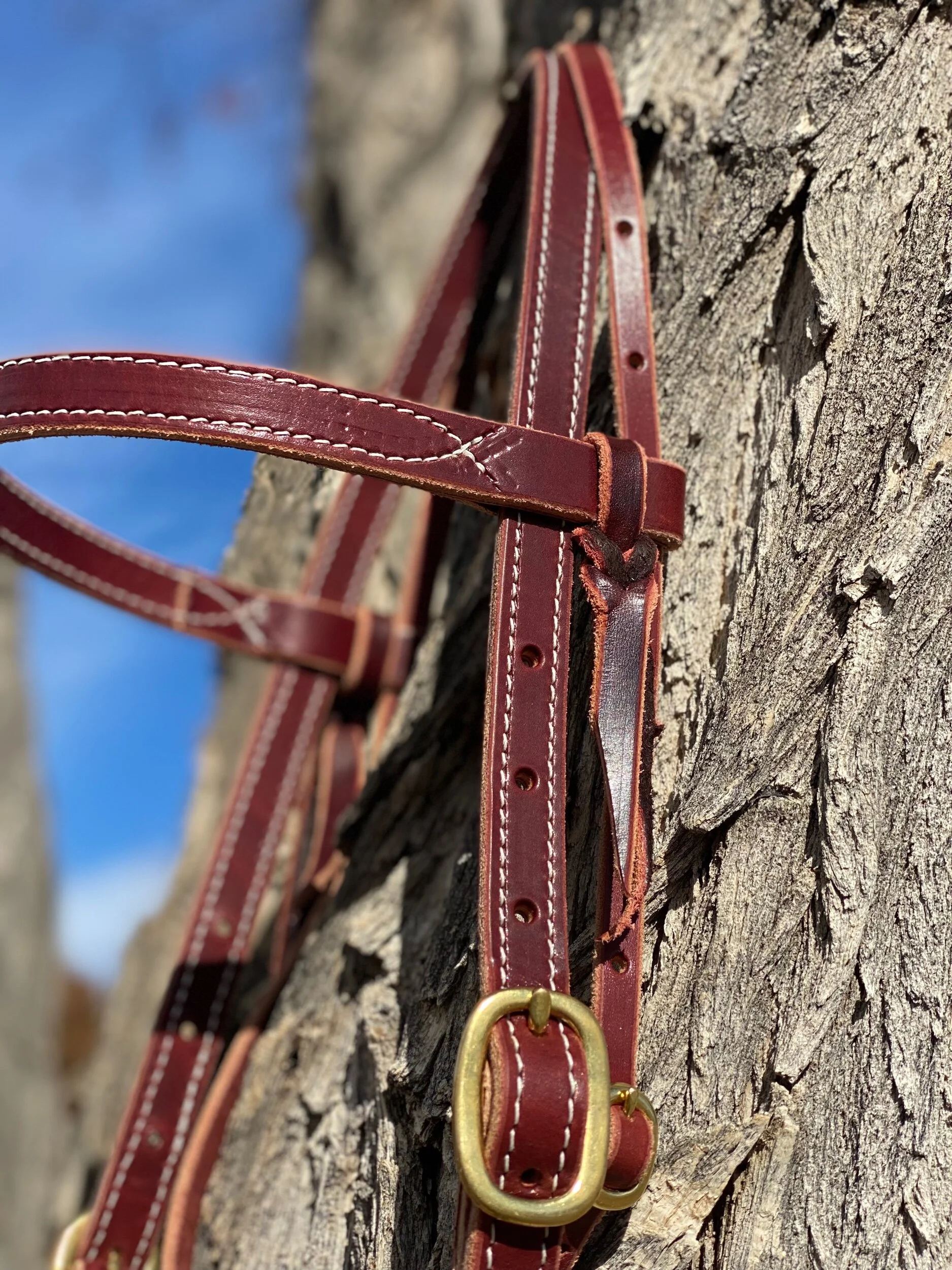 538A182B-CA70-4CD0-83A7-36692DBE35F7