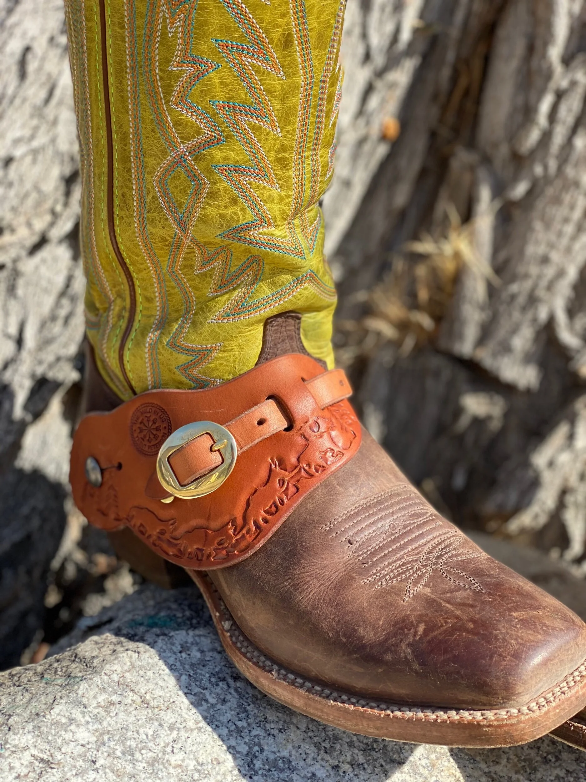 1E050762-EA4F-46AA-9256-4FE005A828CF