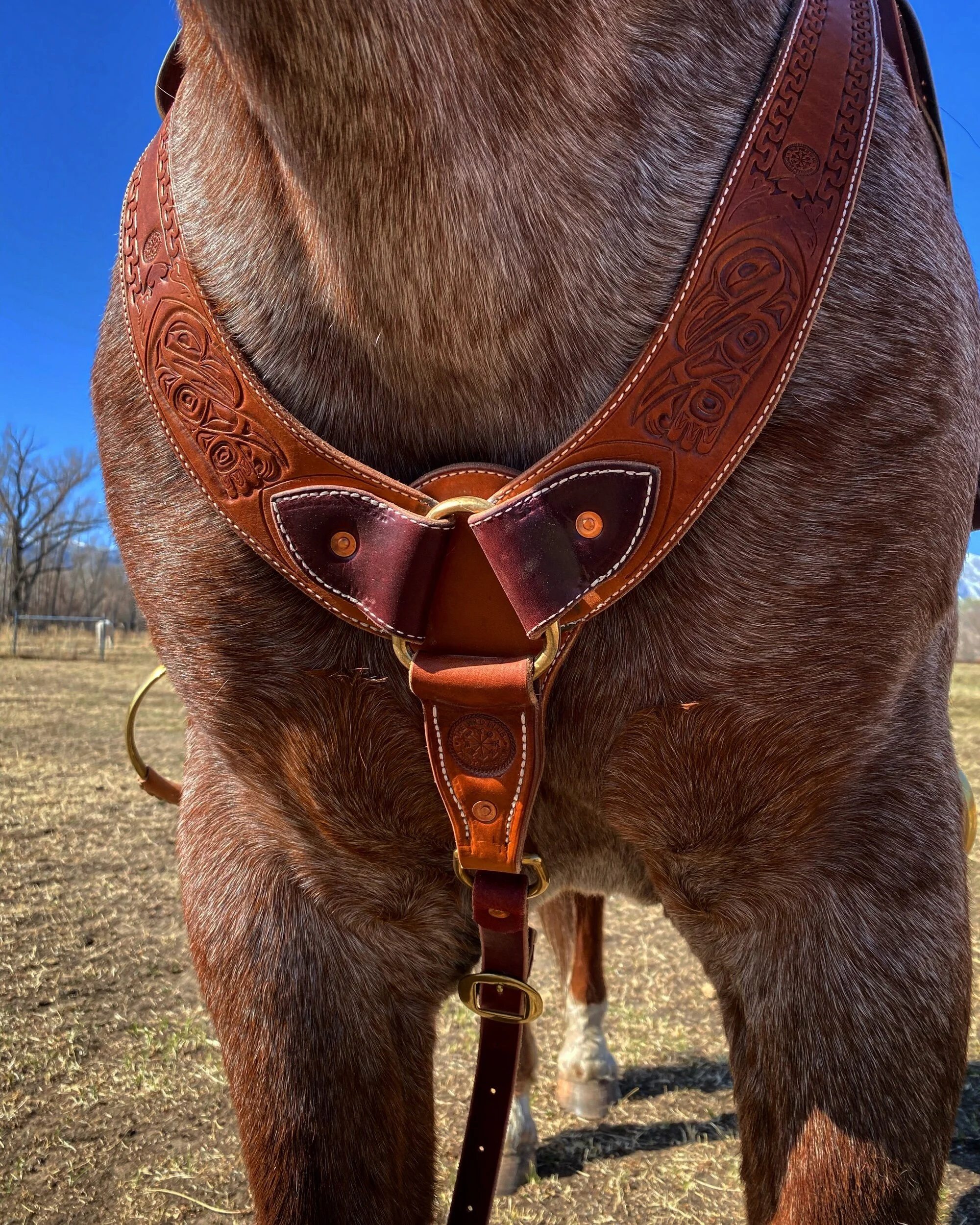 30A8E1C4-2E3A-4DB3-80A5-BD8B58DF6935