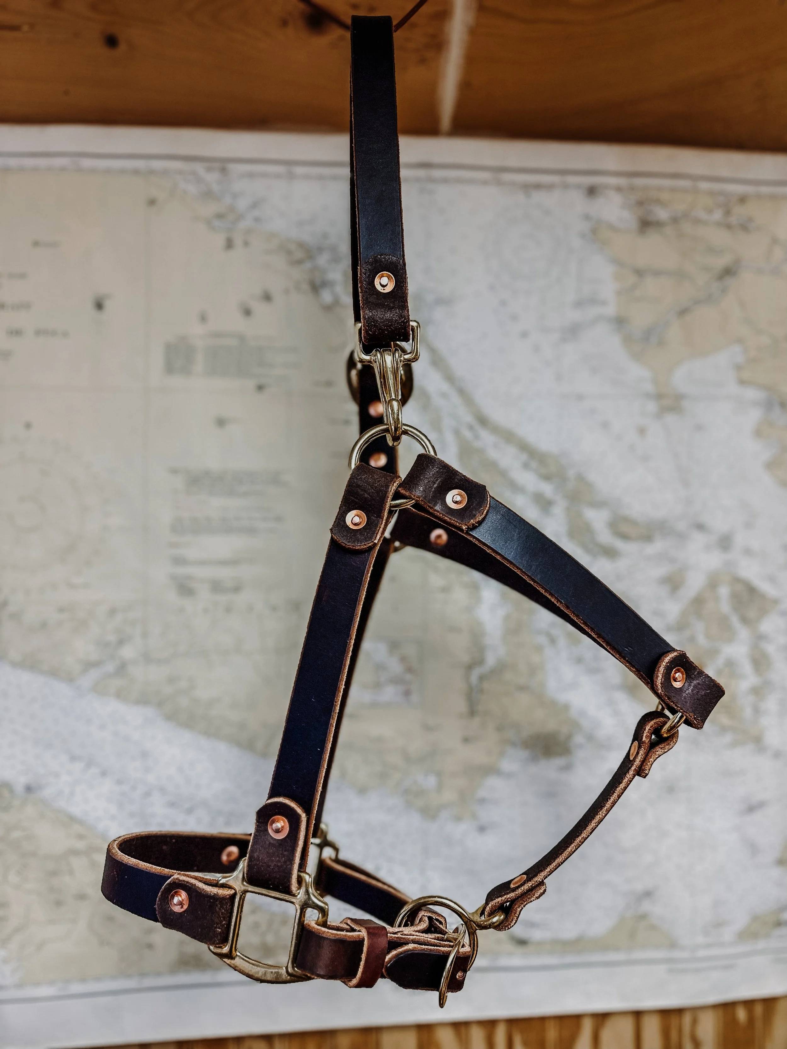 Basic leather halter