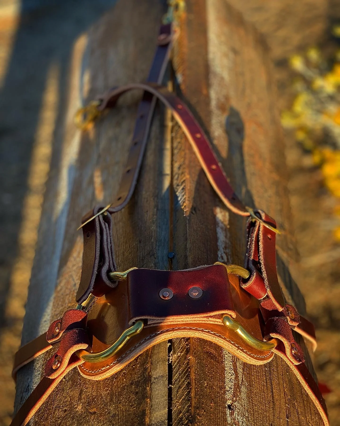 0D907CDA-B834-4FCA-91AA-117EF2FC896C 2.JPG