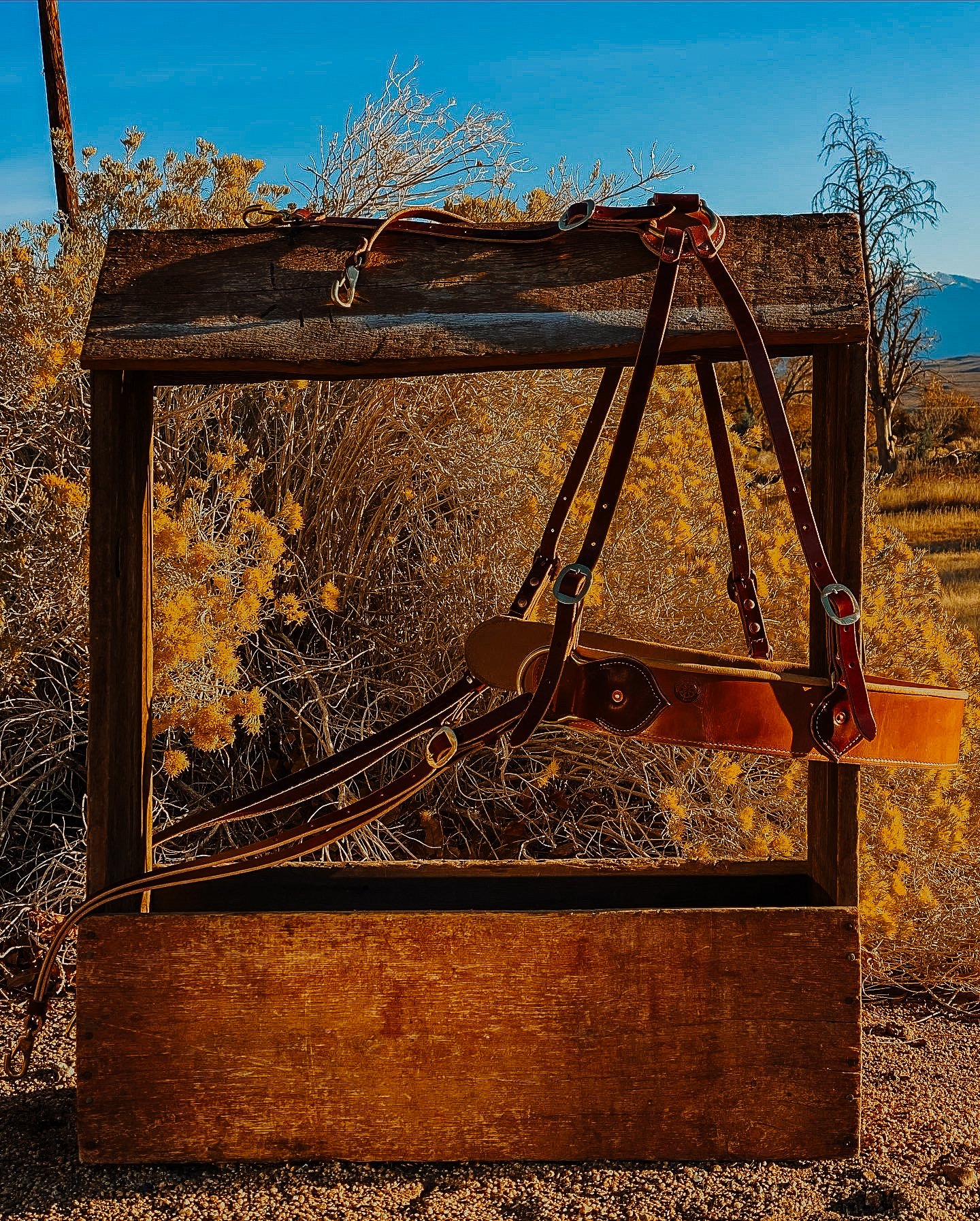 0990A04D-89CC-4564-B301-9F7C8752EFB9 2.JPG