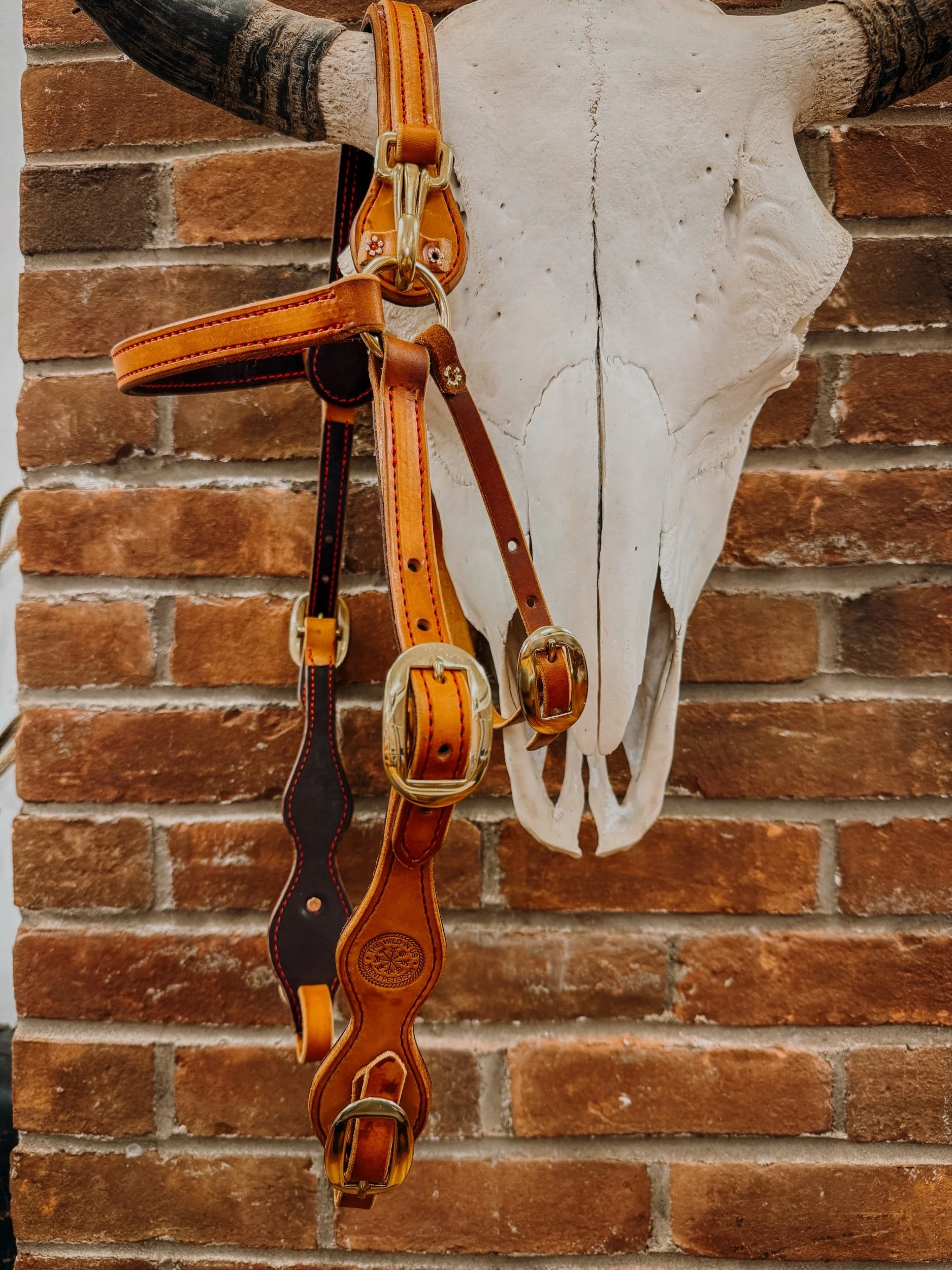 Mule Bridle