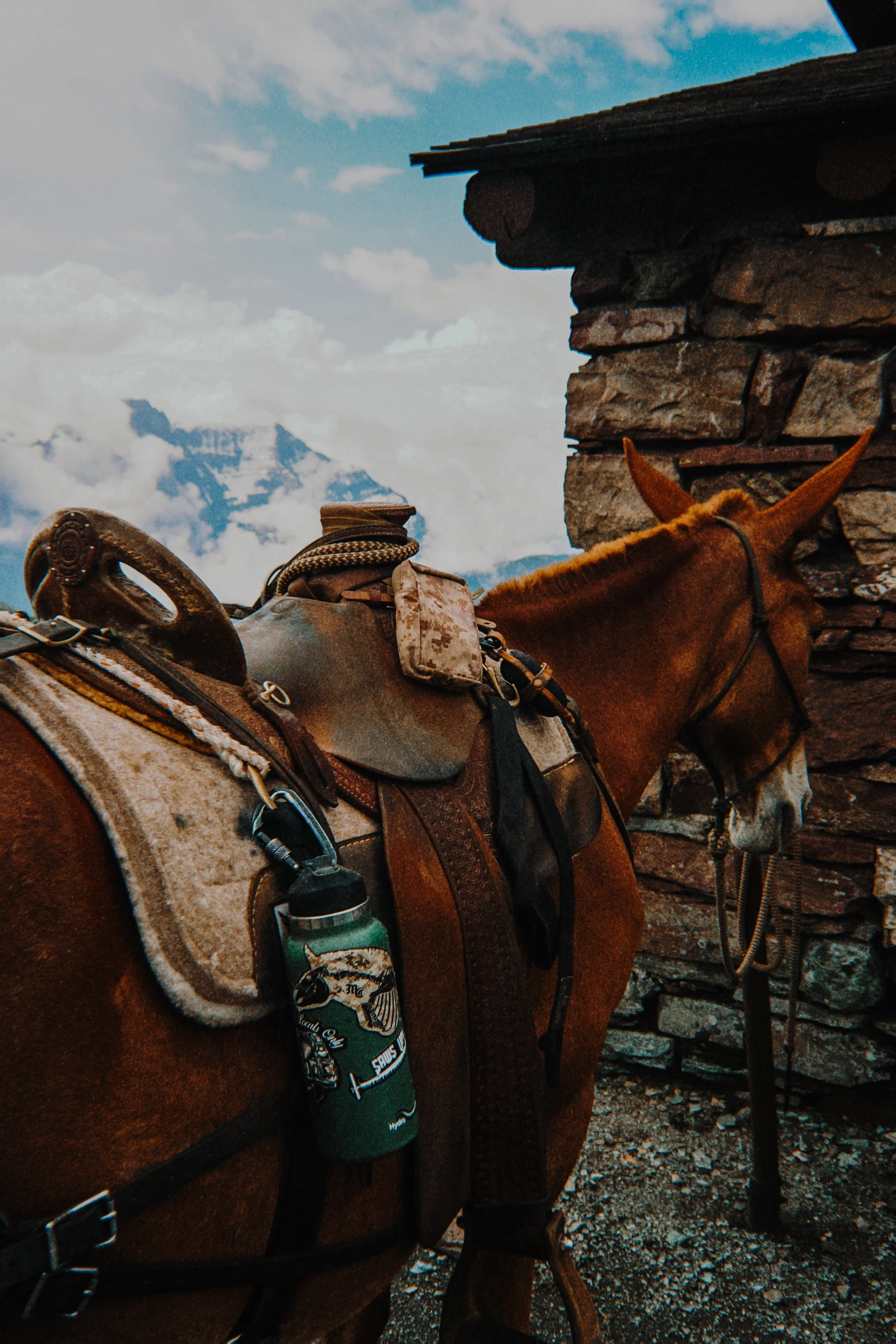 image_123650291 (1).JPG