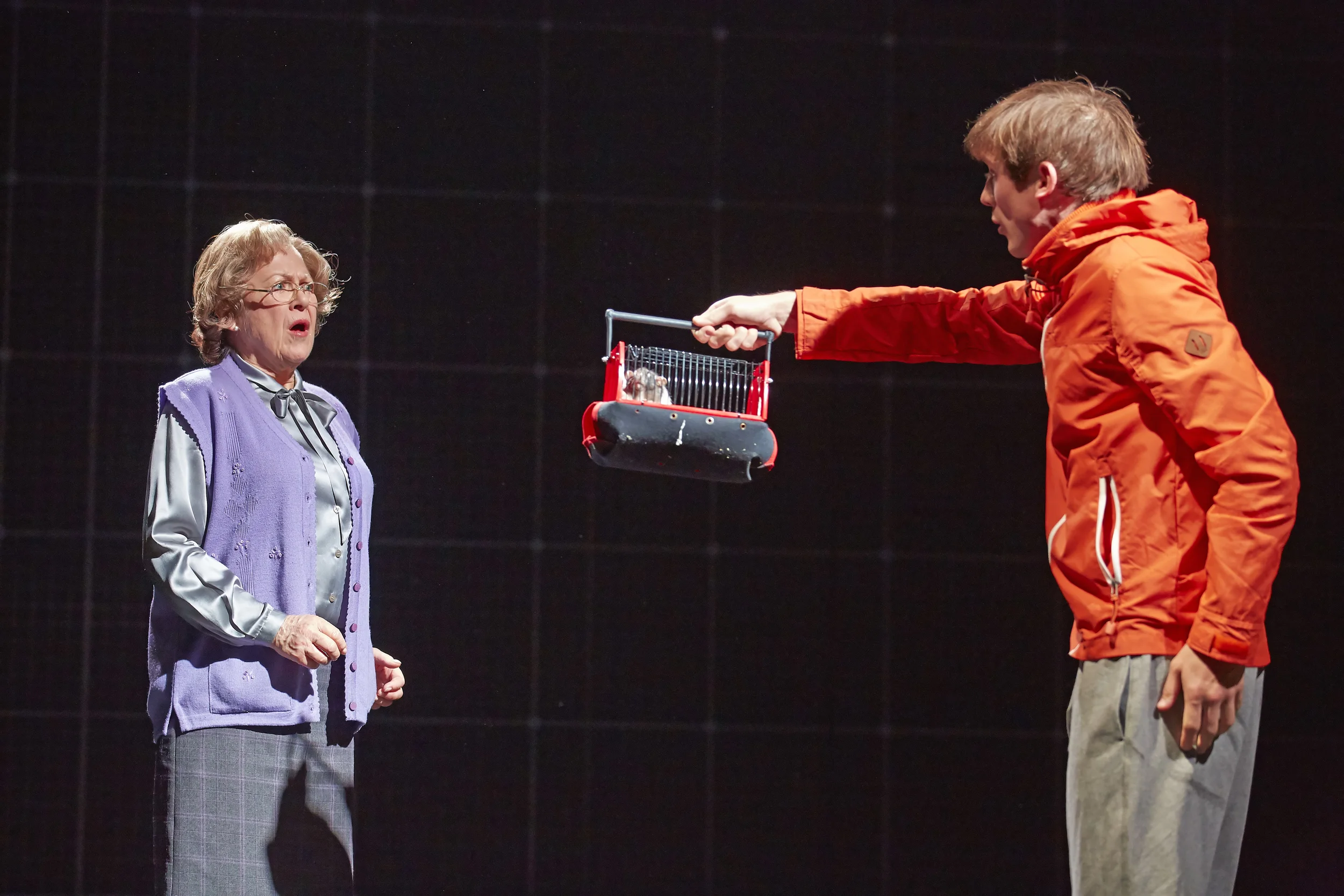 As Mrs Alexander in The Curious Incident of the Dog in the Night Time