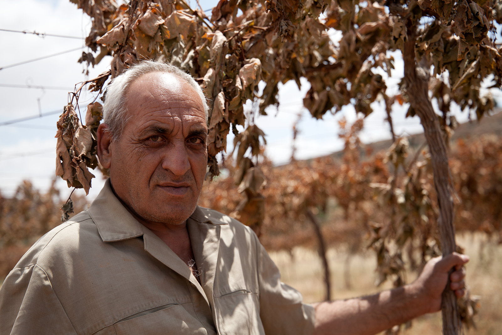 Hebron Hills, Palestine. June 2018.