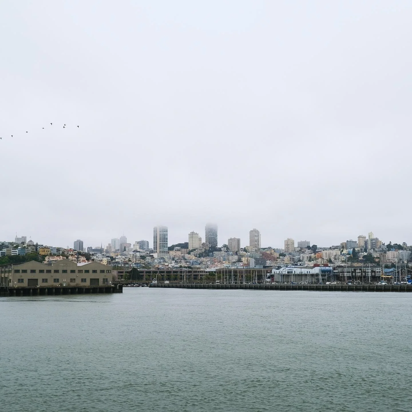 alcatraz bound 📷 by my nephew Ford
