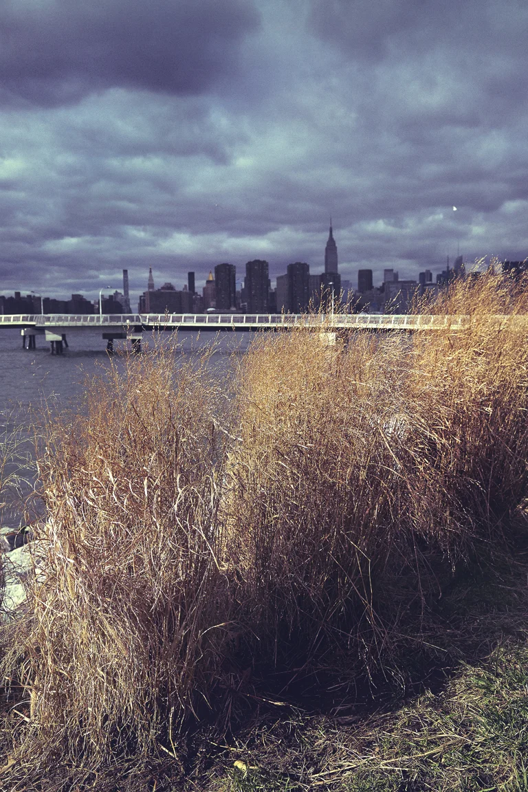 _61A0017 1.jpg