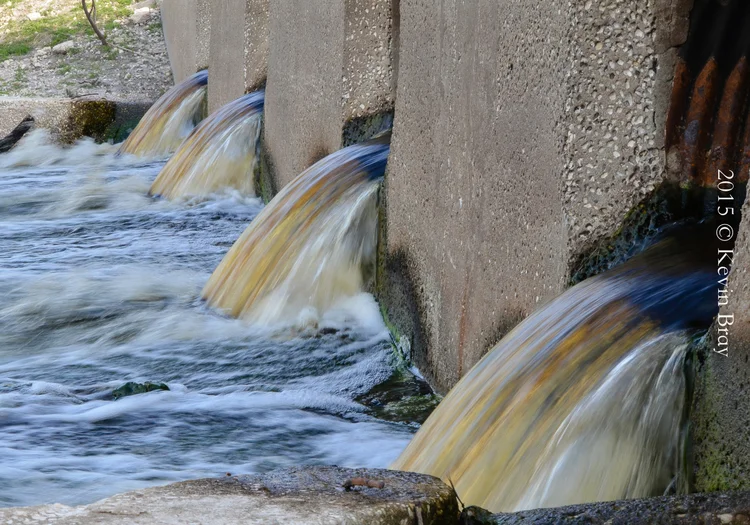 Prairie Flow, Payne's Praire
