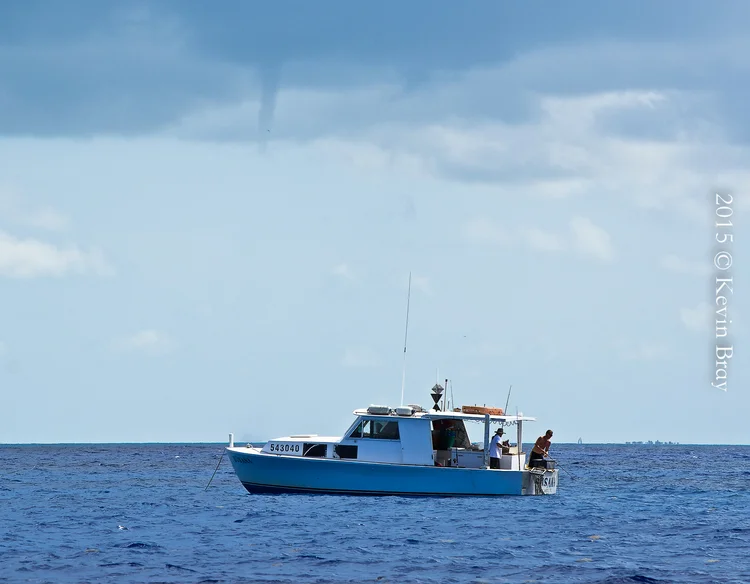 Devil Fingers, Key West