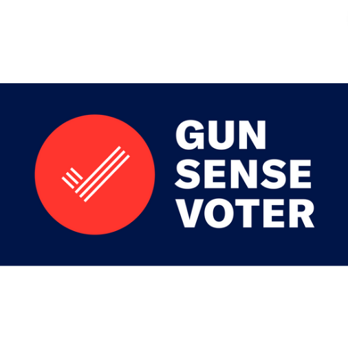 gun sense square.png