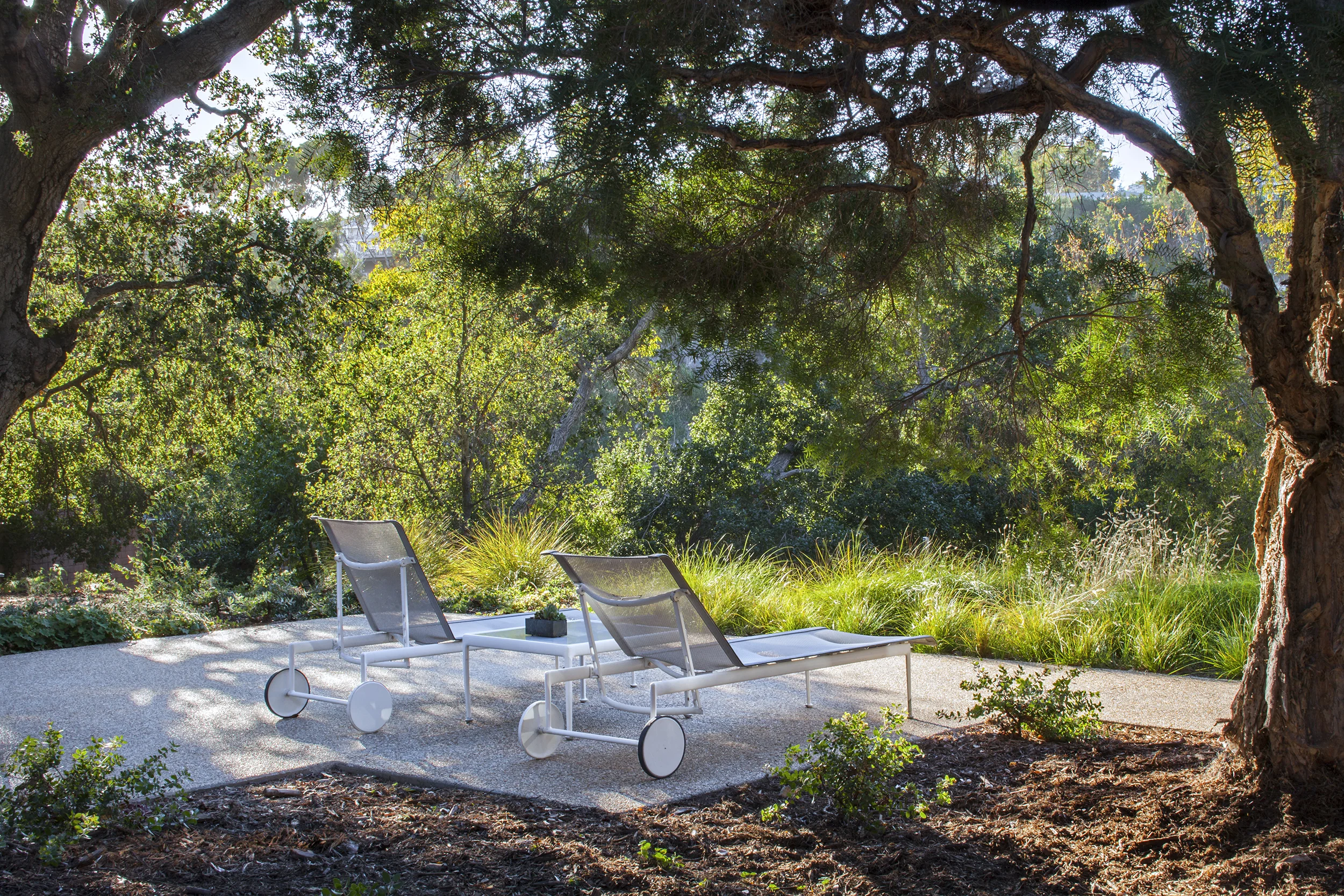 relaxing patio for two modern outdoor furniture in oak tree clearing - Rustic Canyon - Los Angeles garden design by Campion Walker Landscapes.jpg