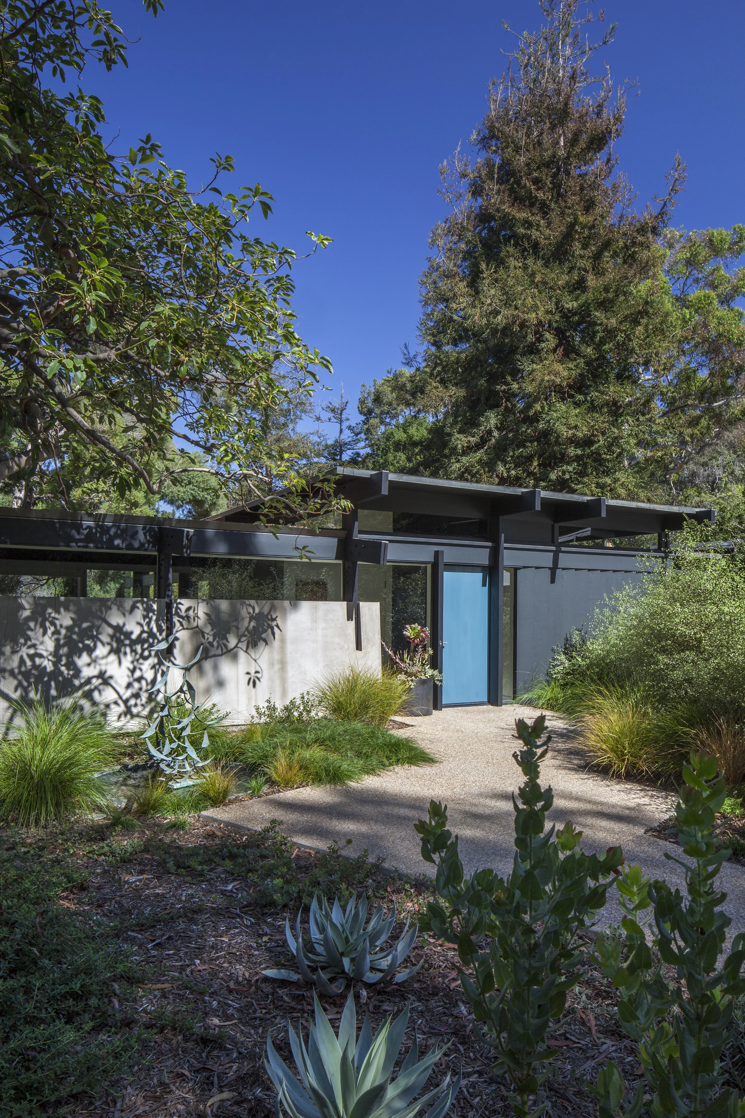 Modern home entryway with blue door - Rustic Canyon - Los Angeles garden design by Campion Walker Landscapes.jpg