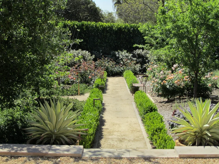 Santa Monica Canyon — Campion Walker
