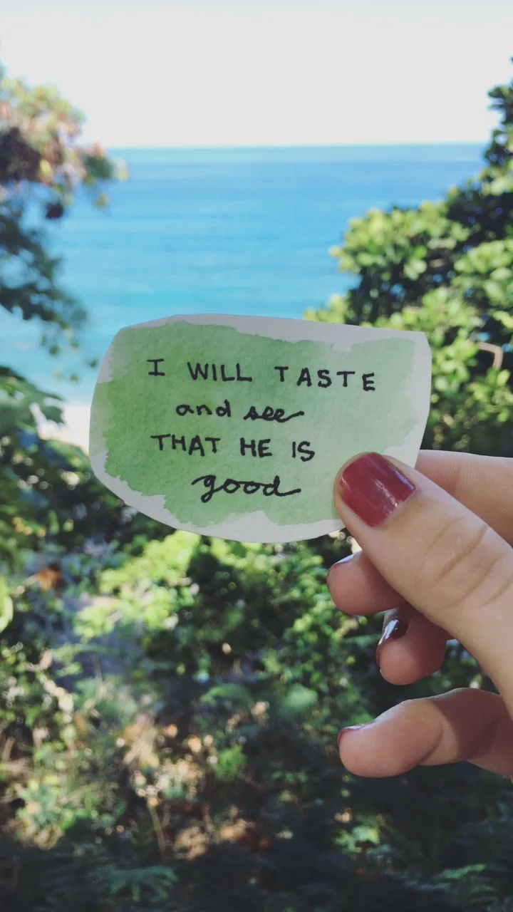 Home Sweet Haiti- Year 2 Begins!