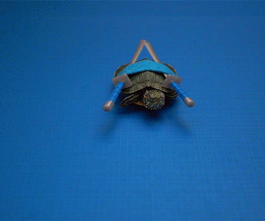 BUMPER_2015_TMNT_BABY_TURTLES_9sec_NICKELODEON_03.gif