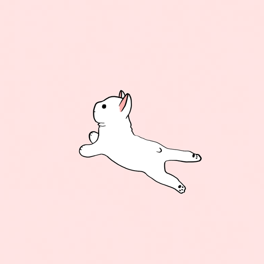 FRENCHIE_8.gif