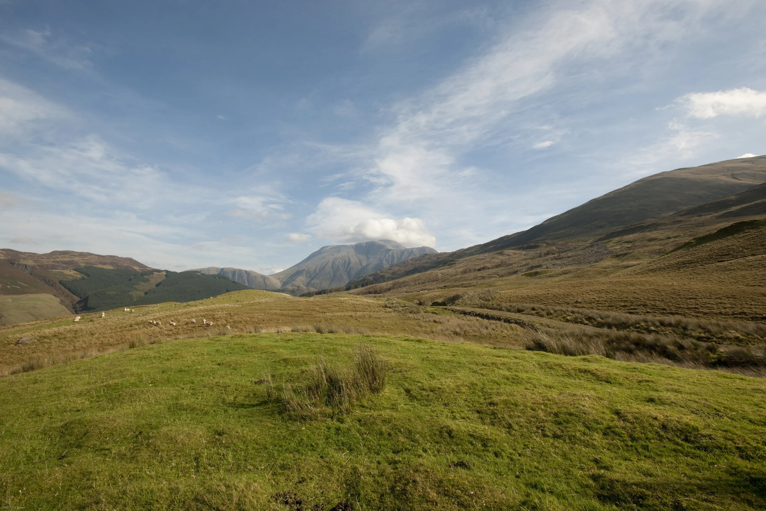 _DSC9895.jpg