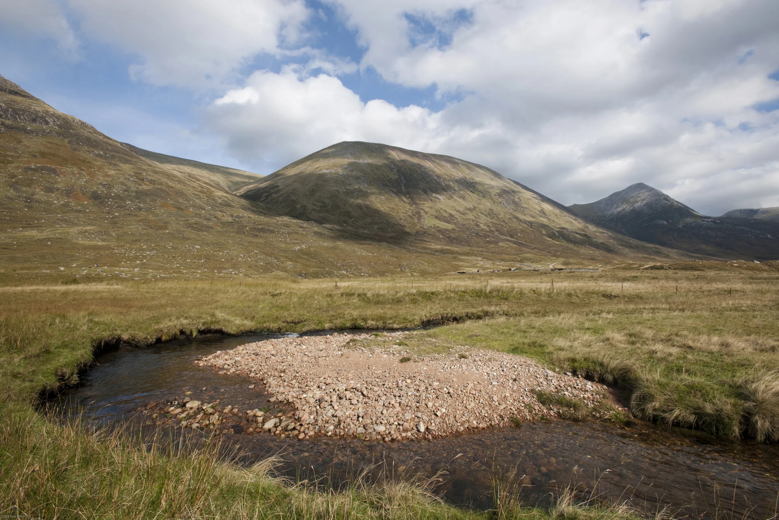 _DSC9908.jpg