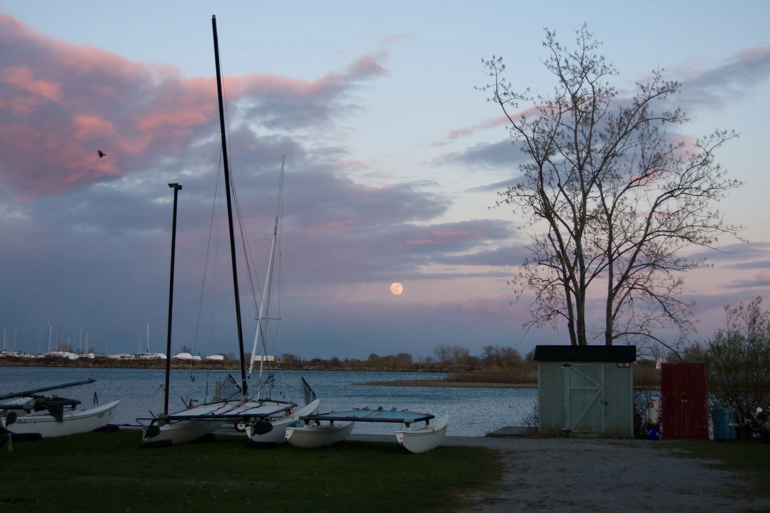 IMG_8473.jpg