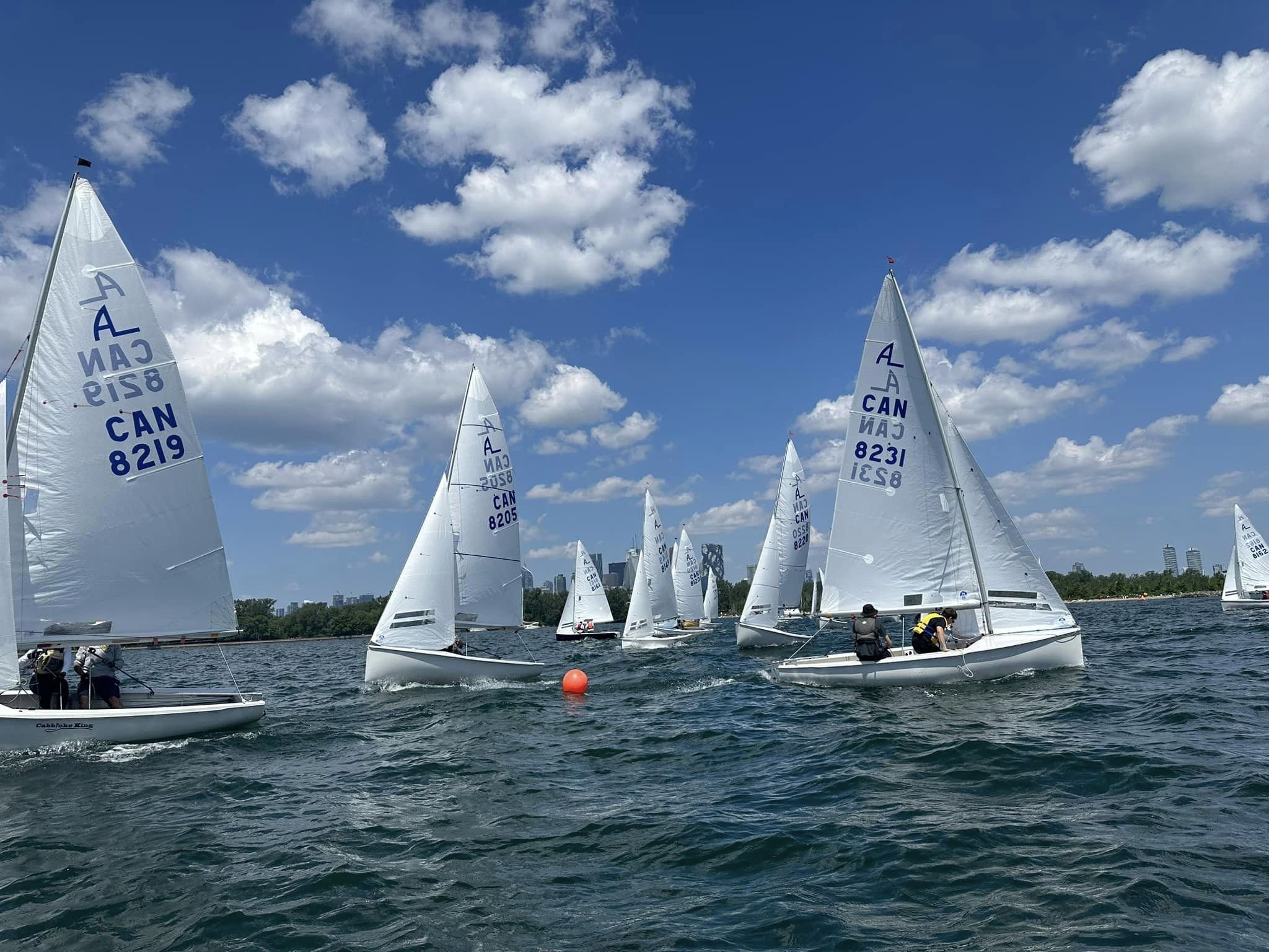 regatta-1.jpeg