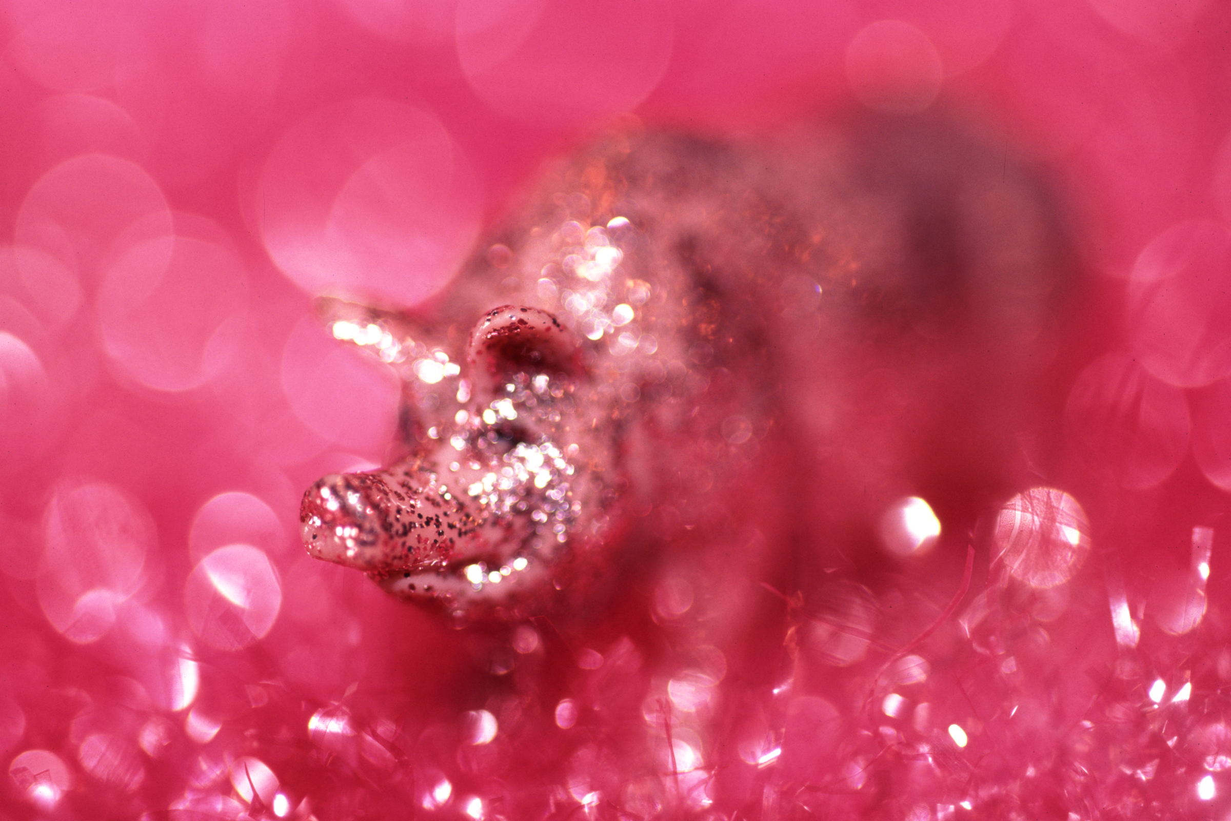 Sparkle-Pig-#1---.jpg