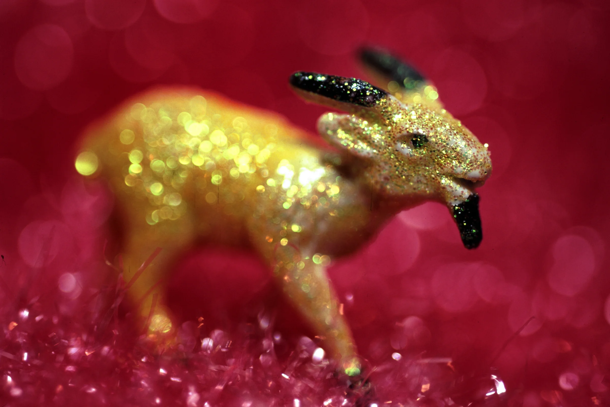 Yellow-Goat-#3---.jpg
