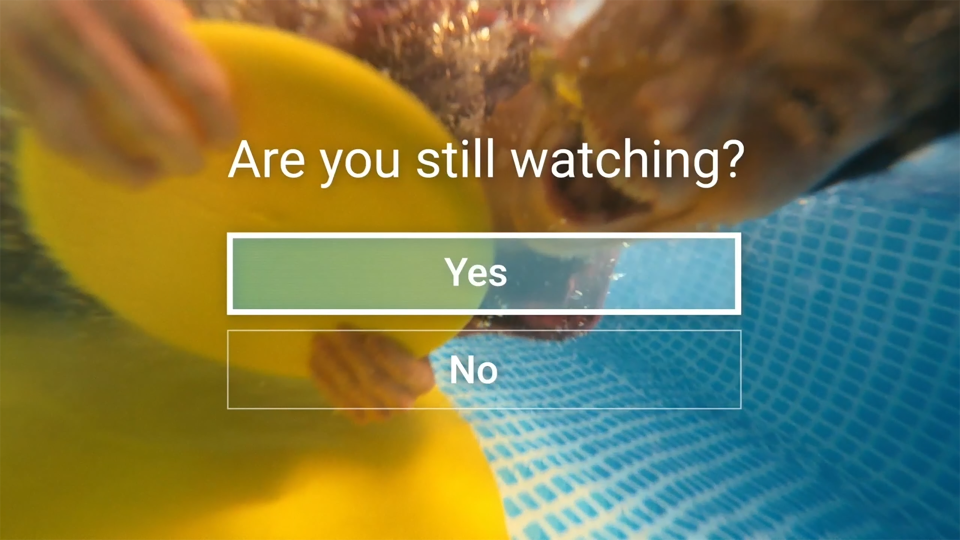 Lipton_StillWatching.png