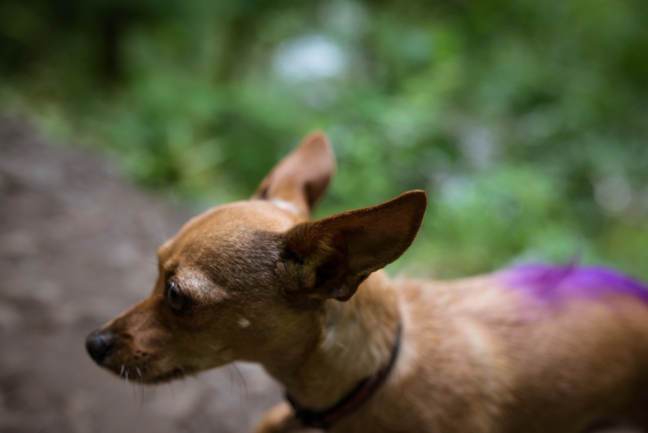 Leah+Lily_HIking_JJFoto-3.jpg